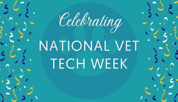 This week, we are celebrating my amazing staff.
They are the most dedicated and compassionate staff! Please help me celebrate them with a quick message in the comments section.
Katie, Taylor, Heather, Travis, Lindsey, Joleigh and Megan.