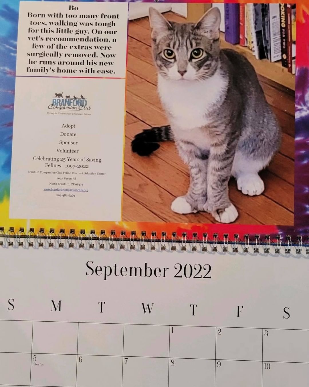 Get your holiday shopping started! BCC 25th anniversary 2022 calendar featuring adoptees and some of your favorite shelter cats will be available for purchase at our food drive on Oct. 30. Please stop by at our shelter at 2037 Foxon Road between 10 AM and 2 PM Saturday 10/30. Bring some cat food for our furry friends and buy calendars for your holiday list! Each calendar is $25.00.