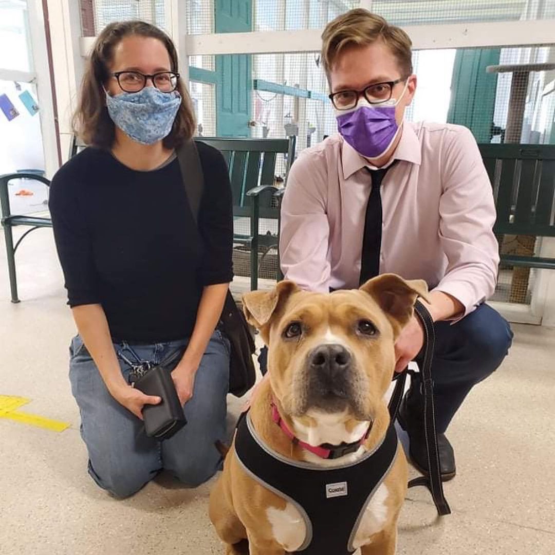 Joli is off to her new home! This precious little lady was a staff & volunteer favorite - she brought a smile to everyone’s face with her endless happiness 🥰 Congratulations to Joli and her forever family! 🥳

<a target='_blank' href='https://www.instagram.com/explore/tags/adopteddog/'>#adopteddog</a> <a target='_blank' href='https://www.instagram.com/explore/tags/adoptionday/'>#adoptionday</a> <a target='_blank' href='https://www.instagram.com/explore/tags/adopteddogsofinstagram/'>#adopteddogsofinstagram</a> <a target='_blank' href='https://www.instagram.com/explore/tags/nannydog/'>#nannydog</a> <a target='_blank' href='https://www.instagram.com/explore/tags/staffordshirebullterrier/'>#staffordshirebullterrier</a> <a target='_blank' href='https://www.instagram.com/explore/tags/staffiesofinstagram/'>#staffiesofinstagram</a> <a target='_blank' href='https://www.instagram.com/explore/tags/sweetheart/'>#sweetheart</a> <a target='_blank' href='https://www.instagram.com/explore/tags/sweetpotato/'>#sweetpotato</a> <a target='_blank' href='https://www.instagram.com/explore/tags/happygirl/'>#happygirl</a> <a target='_blank' href='https://www.instagram.com/explore/tags/winonaareahumanesociety/'>#winonaareahumanesociety</a> <a target='_blank' href='https://www.instagram.com/explore/tags/wahs/'>#wahs</a> <a target='_blank' href='https://www.instagram.com/explore/tags/winona/'>#winona</a> <a target='_blank' href='https://www.instagram.com/explore/tags/winonamn/'>#winonamn</a> <a target='_blank' href='https://www.instagram.com/explore/tags/humanesociety/'>#humanesociety</a> <a target='_blank' href='https://www.instagram.com/explore/tags/petadoption/'>#petadoption</a> <a target='_blank' href='https://www.instagram.com/explore/tags/foreverhome/'>#foreverhome</a> <a target='_blank' href='https://www.instagram.com/explore/tags/adoptdontshop/'>#adoptdontshop</a> <a target='_blank' href='https://www.instagram.com/explore/tags/chooseadoption/'>#chooseadoption</a> <a target='_blank' href='https://www.instagram.com/explore/tags/rescueismyfavoritebreed/'>#rescueismyfavoritebreed</a> <a target='_blank' href='https://www.instagram.com/explore/tags/rescuedogs/'>#rescuedogs</a> <a target='_blank' href='https://www.instagram.com/explore/tags/shelter/'>#shelter</a> <a target='_blank' href='https://www.instagram.com/explore/tags/shelterdogs/'>#shelterdogs</a> <a target='_blank' href='https://www.instagram.com/explore/tags/dogsofinstagram/'>#dogsofinstagram</a> <a target='_blank' href='https://www.instagram.com/explore/tags/shelterdogsofinstagram/'>#shelterdogsofinstagram</a> <a target='_blank' href='https://www.instagram.com/explore/tags/dogstagram/'>#dogstagram</a>