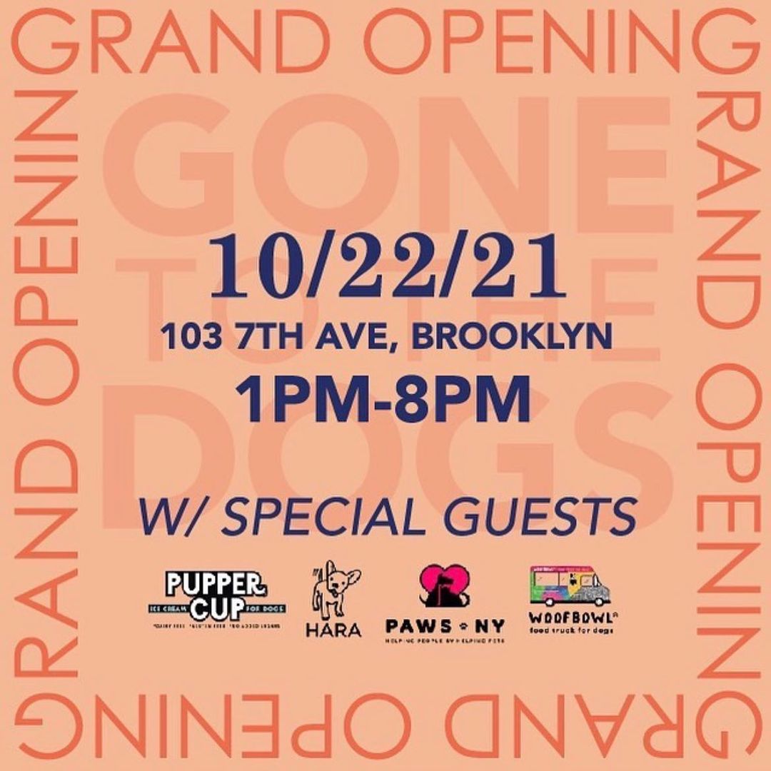 HEY New York! This Friday, HARA will be there from 5pm-8pm to support our friends at @gonetothedogs.co for their grand store opening! 🥳Come stop by and say hello. Pups are welcome too! P.S. one of our <a target='_blank' href='https://www.instagram.com/explore/tags/adoptable/'>#adoptable</a> pup will be there too! 👀