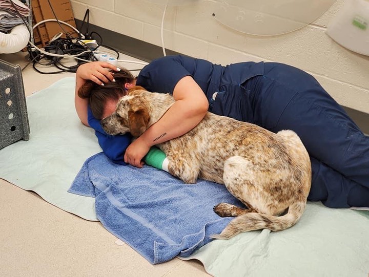 Your adopted pet was loved by a vet tech! ❤️ Thank you to our two AMAZING vet techs who provide medical care and treatment for the animals in our shelter. This kind of dedication earned a visit and a thank you from Chief Spivey and Chief Redburn this morning. <a target='_blank' href='https://www.instagram.com/explore/tags/NationalVeterinaryTechnicianWeek/'>#NationalVeterinaryTechnicianWeek</a> <a target='_blank' href='https://www.instagram.com/explore/tags/WeAreIAS/'>#WeAreIAS</a>