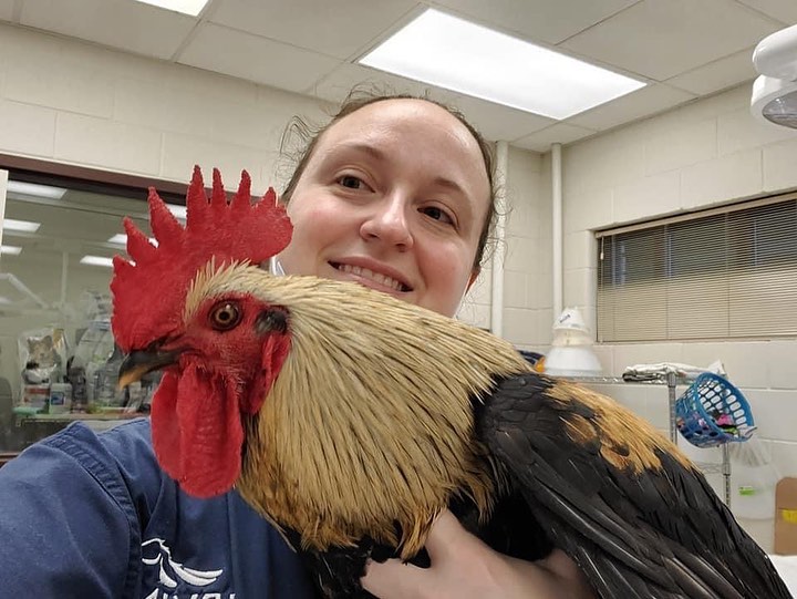 Your adopted pet was loved by a vet tech! ❤️ Thank you to our two AMAZING vet techs who provide medical care and treatment for the animals in our shelter. This kind of dedication earned a visit and a thank you from Chief Spivey and Chief Redburn this morning. <a target='_blank' href='https://www.instagram.com/explore/tags/NationalVeterinaryTechnicianWeek/'>#NationalVeterinaryTechnicianWeek</a> <a target='_blank' href='https://www.instagram.com/explore/tags/WeAreIAS/'>#WeAreIAS</a>