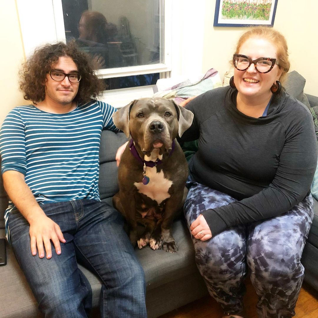 This floppy eared gal is home! Vic was another successful foster to adopt placement and is now home forever with Lauren and Max! Vic came to us from Blackstone Animal Shelter and we couldn’t be happier to have helped her find her people! Congrats all!