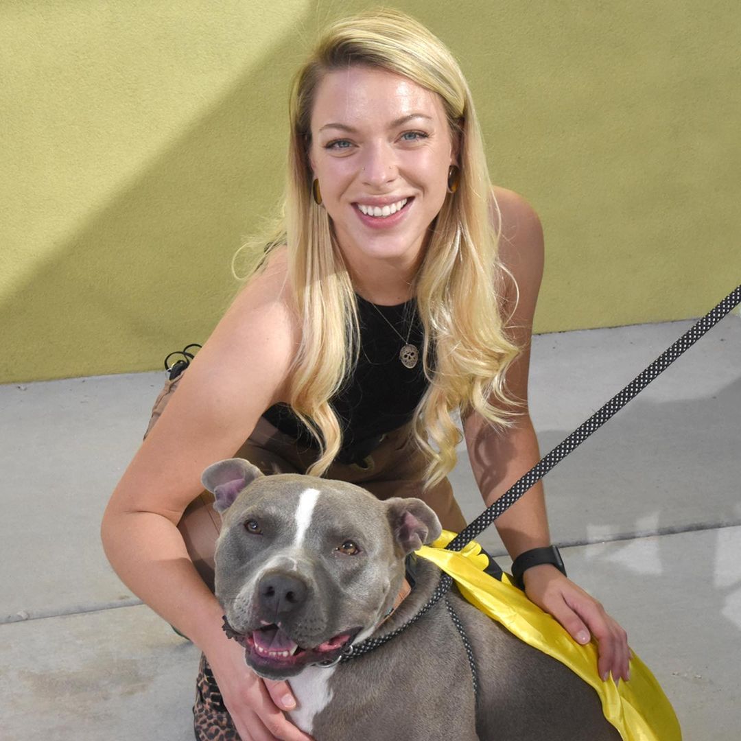 Wally living his dream, getting all of the love! 💙 He had a blast meeting everyone at the Fall Festival yesterday. Thank you to our amazing partners, the @heidisvillage team, for helping us get dogs like Wally into forever homes. We are very grateful, we can not do this alone! 

<a target='_blank' href='https://www.instagram.com/explore/tags/adoptANM/'>#adoptANM</a> <a target='_blank' href='https://www.instagram.com/explore/tags/rescuingsaveslives/'>#rescuingsaveslives</a>