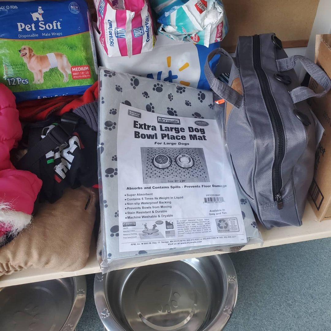 Looking for new-to-you pet supplies? We have loads of brushes, collars, harnesses, and more in our pet pantry this week. Feel free to call us at 667-8088 and schedule a time to pick up what you need!

<a target='_blank' href='https://www.instagram.com/explore/tags/pethelp/'>#pethelp</a> <a target='_blank' href='https://www.instagram.com/explore/tags/pets/'>#pets</a> <a target='_blank' href='https://www.instagram.com/explore/tags/pet/'>#pet</a> <a target='_blank' href='https://www.instagram.com/explore/tags/petlovers/'>#petlovers</a> <a target='_blank' href='https://www.instagram.com/explore/tags/petparent/'>#petparent</a> <a target='_blank' href='https://www.instagram.com/explore/tags/petparents/'>#petparents</a> <a target='_blank' href='https://www.instagram.com/explore/tags/helpful/'>#helpful</a> <a target='_blank' href='https://www.instagram.com/explore/tags/petpantry/'>#petpantry</a> <a target='_blank' href='https://www.instagram.com/explore/tags/petpantrymaine/'>#petpantrymaine</a> <a target='_blank' href='https://www.instagram.com/explore/tags/petcare/'>#petcare</a> <a target='_blank' href='https://www.instagram.com/explore/tags/spcahcme/'>#spcahcme</a>