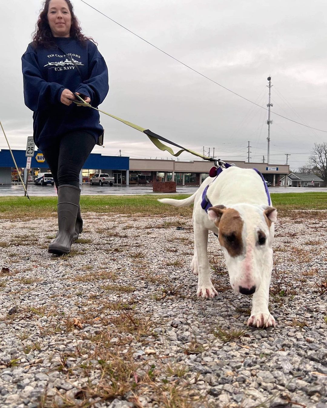 <a target='_blank' href='https://www.instagram.com/explore/tags/winterintakesarecoming/'>#winterintakesarecoming</a> Marley heading to her new home in Minnesota 🙏🏼 <a target='_blank' href='https://www.instagram.com/explore/tags/ittakesavillage/'>#ittakesavillage</a> <a target='_blank' href='https://www.instagram.com/explore/tags/bullterrierrescue/'>#bullterrierrescue</a>