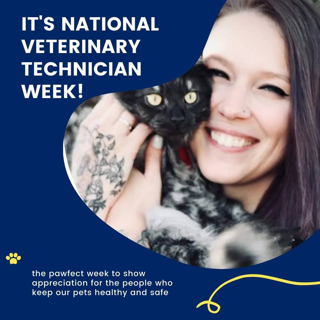 It's Vet Tech Appreciation Week! And we have so many wonderful vet techs we want to feature and say a big THANK-YOU to this week. To start it off, we are all so grateful that our shelter director, Nicole, has extensive background as a vet tech - her experience and skills with animals is literally life-saving! Thank you for all the hats you wear, Nicole!

<a target='_blank' href='https://www.instagram.com/explore/tags/vettech/'>#vettech</a> <a target='_blank' href='https://www.instagram.com/explore/tags/vettechs/'>#vettechs</a> <a target='_blank' href='https://www.instagram.com/explore/tags/vettechweek/'>#vettechweek</a> <a target='_blank' href='https://www.instagram.com/explore/tags/vettechappreciationweek/'>#vettechappreciationweek</a> <a target='_blank' href='https://www.instagram.com/explore/tags/vettechsofinstagram/'>#vettechsofinstagram</a> <a target='_blank' href='https://www.instagram.com/explore/tags/spcahcme/'>#spcahcme</a> <a target='_blank' href='https://www.instagram.com/explore/tags/nonprofitlife/'>#nonprofitlife</a> <a target='_blank' href='https://www.instagram.com/explore/tags/catlovers/'>#catlovers</a> <a target='_blank' href='https://www.instagram.com/explore/tags/rescue/'>#rescue</a> <a target='_blank' href='https://www.instagram.com/explore/tags/cats/'>#cats</a> <a target='_blank' href='https://www.instagram.com/explore/tags/adopt/'>#adopt</a> <a target='_blank' href='https://www.instagram.com/explore/tags/shelterpets/'>#shelterpets</a> <a target='_blank' href='https://www.instagram.com/explore/tags/happytails/'>#happytails</a> <a target='_blank' href='https://www.instagram.com/explore/tags/adoptionislove/'>#adoptionislove</a> <a target='_blank' href='https://www.instagram.com/explore/tags/shelterdogs/'>#shelterdogs</a> <a target='_blank' href='https://www.instagram.com/explore/tags/nonprofit/'>#nonprofit</a> <a target='_blank' href='https://www.instagram.com/explore/tags/appreciate/'>#appreciate</a> <a target='_blank' href='https://www.instagram.com/explore/tags/appreciateyou/'>#appreciateyou</a> <a target='_blank' href='https://www.instagram.com/explore/tags/thankful/'>#thankful</a> <a target='_blank' href='https://www.instagram.com/explore/tags/thankyou/'>#thankyou</a>