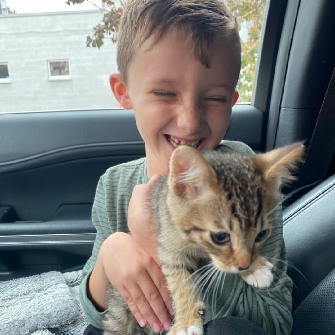 This is the look of pure joy! 🌈 Randi and her boys couldn't wait to adopt their best new 💞 buddy from Best Friends! Little 🐱 Rex has settled in with his new family and Randi says the boys couldn't be happier!

Best Friends Salt Lake City has lots of pets 🐕 available for adoption, and you can adopt your best new buddy, too! Visit us at 2005 S. 1100 E. daily or check our website to see who's available and fill out an adoption survey at bestfriendsutah.org, using the link in our bio. 

The Best Friends Lifesaving Center in Salt Lake City does adoptions by appointment and at our center between 12-4pm Sunday and Monday and 12-6pm Tuesday through Saturday. If you are interested in adopting a specific pet, please complete our dog adoption survey or cat adoption survey to provide us information about your lifestyle and what you are looking for in a dog or cat. An adoption specialist will be in touch with you within 48 hours via phone or email to advise next steps. Thank you for your continued support of the animals in Utah. 

<a target='_blank' href='https://www.instagram.com/explore/tags/SaveThemAll/'>#SaveThemAll</a> <a target='_blank' href='https://www.instagram.com/explore/tags/BestFriendsAnimalSociety/'>#BestFriendsAnimalSociety</a> <a target='_blank' href='https://www.instagram.com/explore/tags/adoptdontshop/'>#adoptdontshop</a> <a target='_blank' href='https://www.instagram.com/explore/tags/Utah/'>#Utah</a> <a target='_blank' href='https://www.instagram.com/explore/tags/SLC/'>#SLC</a> <a target='_blank' href='https://www.instagram.com/explore/tags/SaltLakeCity/'>#SaltLakeCity</a> <a target='_blank' href='https://www.instagram.com/explore/tags/BestFriendsUtah/'>#BestFriendsUtah</a> <a target='_blank' href='https://www.instagram.com/explore/tags/NKUT/'>#NKUT</a> <a target='_blank' href='https://www.instagram.com/explore/tags/BestFriendsSLC/'>#BestFriendsSLC</a>