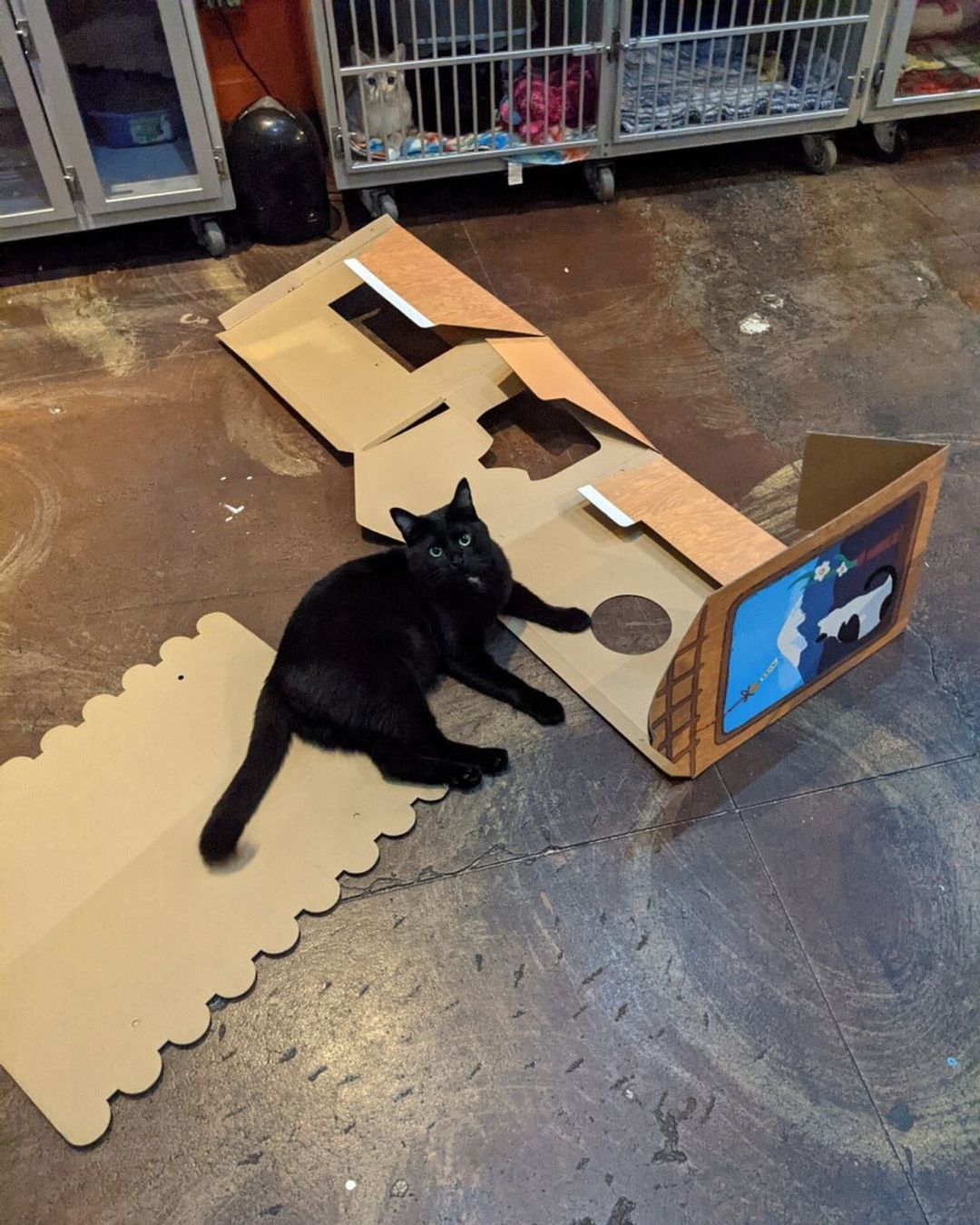 As you can tell by his face, this week was exhausting. Kyle opened his own business, but it didn’t go well. Maybe next time he won’t eat all of the supplies and then also fight the building itself. Maybe. Probably not though.
