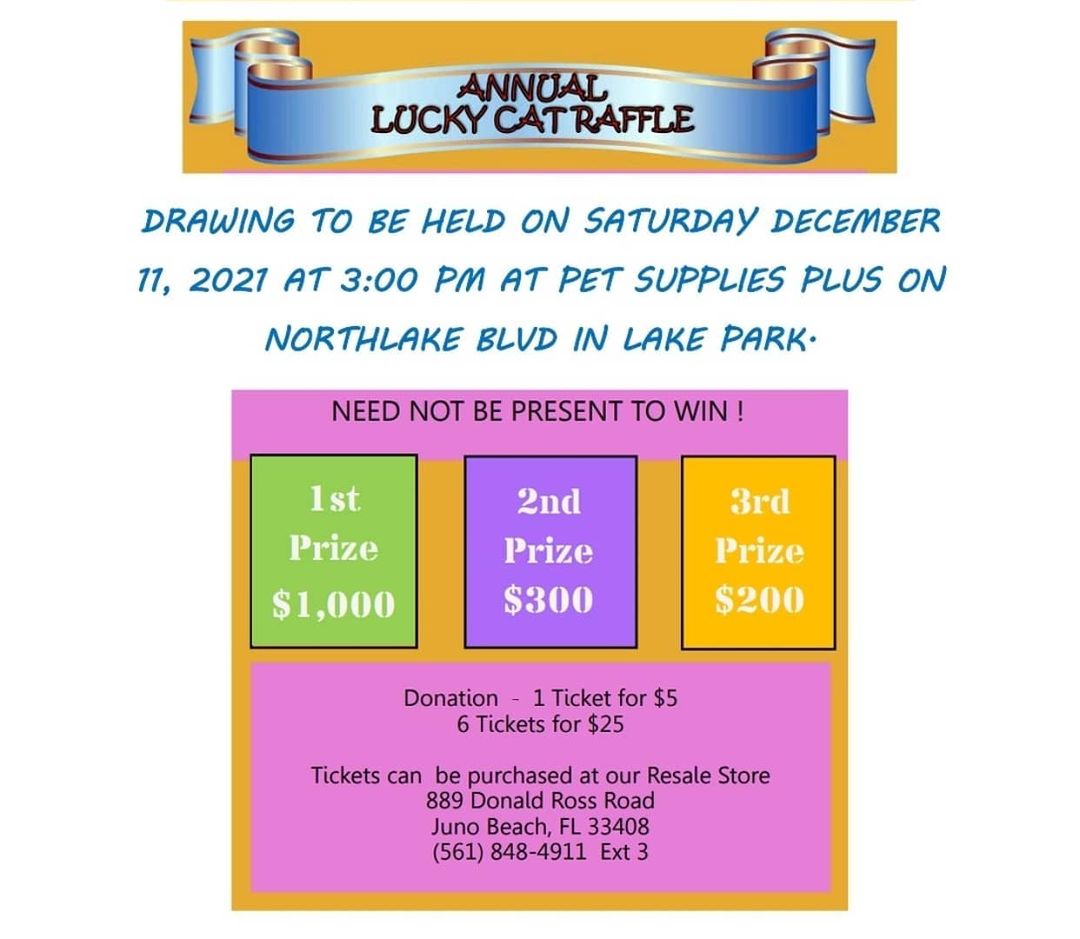 Come out to <a target='_blank' href='https://www.instagram.com/explore/tags/PetSuppliesPlus/'>#PetSuppliesPlus</a> to buy some Raffle Tickets from volunteer Joanne Gonnella for Adopt a Cat Foundation's Biggest Fundraiser! You can win B.I.G. M.O.N.E.Y. in our raffles and the odds are WAY better than the Lotto! Joanne will be here until around 4 p.m., after which you can buy them from Stacey deLucia in <a target='_blank' href='https://www.instagram.com/explore/tags/TheAdoptionZone/'>#TheAdoptionZone</a> !

<a target='_blank' href='https://www.instagram.com/explore/tags/adoptacatfoundation/'>#adoptacatfoundation</a> <a target='_blank' href='https://www.instagram.com/explore/tags/adoptacat/'>#adoptacat</a> <a target='_blank' href='https://www.instagram.com/explore/tags/Petsuppliesplus/'>#Petsuppliesplus</a> <a target='_blank' href='https://www.instagram.com/explore/tags/adoptacatresale/'>#adoptacatresale</a> <a target='_blank' href='https://www.instagram.com/explore/tags/raffletickets/'>#raffletickets</a> <a target='_blank' href='https://www.instagram.com/explore/tags/cats/'>#cats</a>