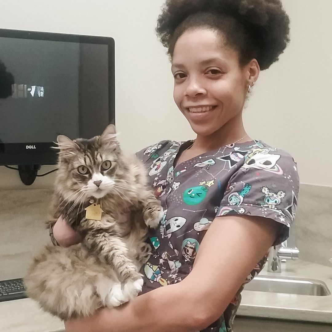 We wouldn’t let Veterinary Technician Week go by without a nod to our very own vet tech, Rachel! ⁣
⁣
Thank you for all your hard work and dedication to ensuring that all of our shelter animals are healthy and that they all receive proper medical attention during their time in our shelter! 🐾 🩹 💉 ⁣
•⁣
•⁣
•⁣
<a target='_blank' href='https://www.instagram.com/explore/tags/findhappiness/'>#findhappiness</a> <a target='_blank' href='https://www.instagram.com/explore/tags/nationalvettechweek/'>#nationalvettechweek</a> <a target='_blank' href='https://www.instagram.com/explore/tags/animalcare/'>#animalcare</a> <a target='_blank' href='https://www.instagram.com/explore/tags/vettechweek/'>#vettechweek</a> <a target='_blank' href='https://www.instagram.com/explore/tags/animalshelter/'>#animalshelter</a> <a target='_blank' href='https://www.instagram.com/explore/tags/shelterpets/'>#shelterpets</a> <a target='_blank' href='https://www.instagram.com/explore/tags/nationalveterinarytechnicianweek/'>#nationalveterinarytechnicianweek</a> <a target='_blank' href='https://www.instagram.com/explore/tags/shelterpetsofinstagram/'>#shelterpetsofinstagram</a> <a target='_blank' href='https://www.instagram.com/explore/tags/adoptashelterpet/'>#adoptashelterpet</a> <a target='_blank' href='https://www.instagram.com/explore/tags/opttoadopt/'>#opttoadopt</a> <a target='_blank' href='https://www.instagram.com/explore/tags/adoptdontshop/'>#adoptdontshop</a> <a target='_blank' href='https://www.instagram.com/explore/tags/lasvegas/'>#lasvegas</a> <a target='_blank' href='https://www.instagram.com/explore/tags/vegas/'>#vegas</a> <a target='_blank' href='https://www.instagram.com/explore/tags/spca/'>#spca</a> <a target='_blank' href='https://www.instagram.com/explore/tags/nevadaspca/'>#nevadaspca</a>