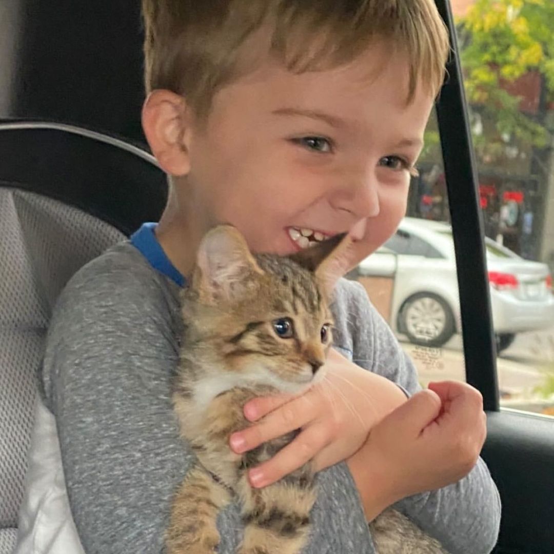 This is the look of pure joy! 🌈 Randi and her boys couldn't wait to adopt their best new 💞 buddy from Best Friends! Little 🐱 Rex has settled in with his new family and Randi says the boys couldn't be happier!

Best Friends Salt Lake City has lots of pets 🐕 available for adoption, and you can adopt your best new buddy, too! Visit us at 2005 S. 1100 E. daily or check our website to see who's available and fill out an adoption survey at bestfriendsutah.org, using the link in our bio. 

The Best Friends Lifesaving Center in Salt Lake City does adoptions by appointment and at our center between 12-4pm Sunday and Monday and 12-6pm Tuesday through Saturday. If you are interested in adopting a specific pet, please complete our dog adoption survey or cat adoption survey to provide us information about your lifestyle and what you are looking for in a dog or cat. An adoption specialist will be in touch with you within 48 hours via phone or email to advise next steps. Thank you for your continued support of the animals in Utah. 

<a target='_blank' href='https://www.instagram.com/explore/tags/SaveThemAll/'>#SaveThemAll</a> <a target='_blank' href='https://www.instagram.com/explore/tags/BestFriendsAnimalSociety/'>#BestFriendsAnimalSociety</a> <a target='_blank' href='https://www.instagram.com/explore/tags/adoptdontshop/'>#adoptdontshop</a> <a target='_blank' href='https://www.instagram.com/explore/tags/Utah/'>#Utah</a> <a target='_blank' href='https://www.instagram.com/explore/tags/SLC/'>#SLC</a> <a target='_blank' href='https://www.instagram.com/explore/tags/SaltLakeCity/'>#SaltLakeCity</a> <a target='_blank' href='https://www.instagram.com/explore/tags/BestFriendsUtah/'>#BestFriendsUtah</a> <a target='_blank' href='https://www.instagram.com/explore/tags/NKUT/'>#NKUT</a> <a target='_blank' href='https://www.instagram.com/explore/tags/BestFriendsSLC/'>#BestFriendsSLC</a>