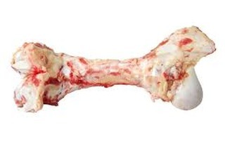 Bones, Bones, Bones...
Are you having any cows butchered?  Know anyone who is?  Know any butchers???
Our dogs are begging for bones, big bones, knuckle bones, the ones they can gnaw on for a long time that won't splinter like the cooked bones... WE NEED RAW, BIG, BONES!!! We're PITTIES and need mental/physical stimulation when nobody is adoring our beautiful faces...
Can you help?  We're hoping to load up a smaller freezer and have a years supply on hand.
Please???
<a target='_blank' href='https://www.instagram.com/explore/tags/bigassbones/'>#bigassbones</a> <a target='_blank' href='https://www.instagram.com/explore/tags/rescuedogsrock/'>#rescuedogsrock</a> <a target='_blank' href='https://www.instagram.com/explore/tags/thepitbullpenpups/'>#thepitbullpenpups</a>