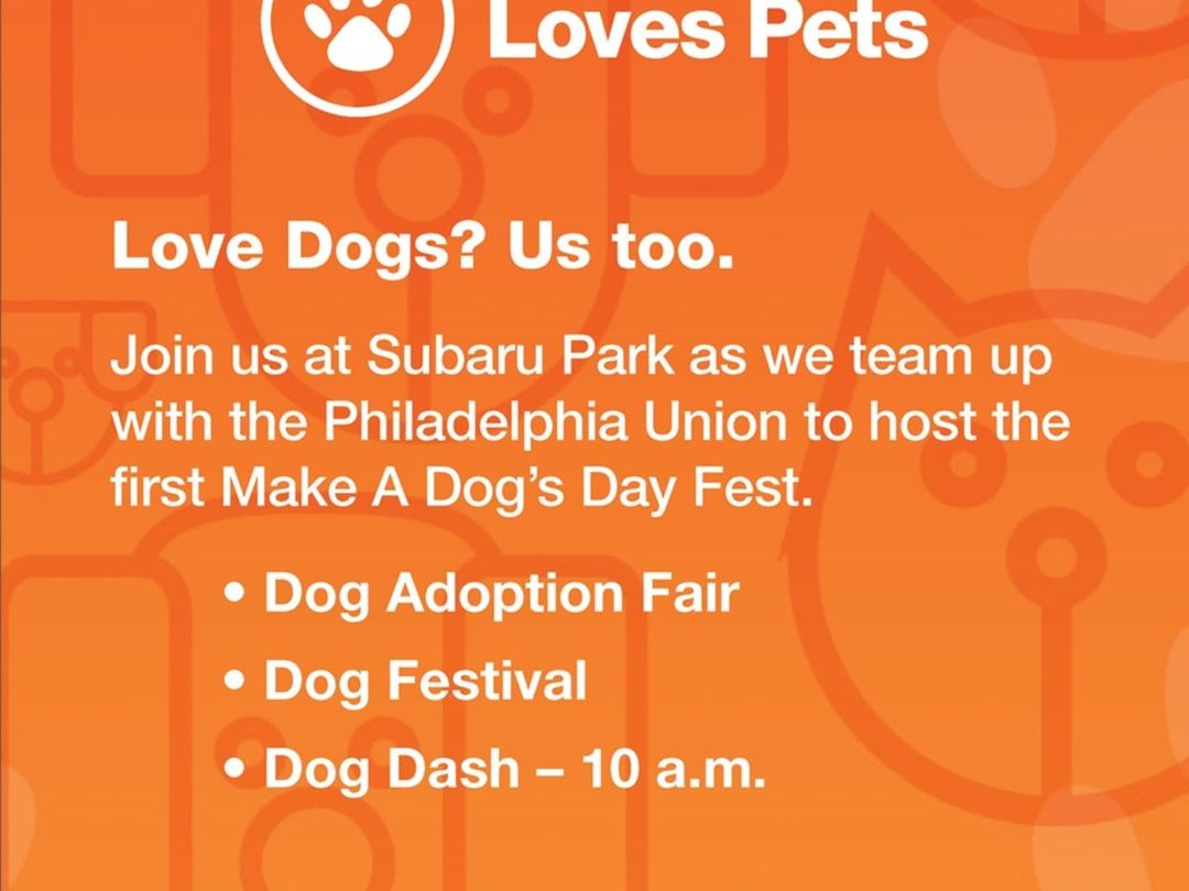 Bear is resting up for tomorrow's <a target='_blank' href='https://www.instagram.com/explore/tags/MakeADogsDay/'>#MakeADogsDay</a> event at Subaru Park in Chester, PA.  He'll be there to start the festivities at 10 am 😊 <a target='_blank' href='https://www.instagram.com/explore/tags/adoptdontshop/'>#adoptdontshop</a> <a target='_blank' href='https://www.instagram.com/explore/tags/arcticspiritrescue/'>#arcticspiritrescue</a> <a target='_blank' href='https://www.instagram.com/explore/tags/rescuedog/'>#rescuedog</a> <a target='_blank' href='https://www.instagram.com/explore/tags/rescuedogsofinstagram/'>#rescuedogsofinstagram</a> <a target='_blank' href='https://www.instagram.com/explore/tags/fosteringsaveslives/'>#fosteringsaveslives</a> <a target='_blank' href='https://www.instagram.com/explore/tags/adopt/'>#adopt</a> <a target='_blank' href='https://www.instagram.com/explore/tags/foster/'>#foster</a> <a target='_blank' href='https://www.instagram.com/explore/tags/rescue/'>#rescue</a> <a target='_blank' href='https://www.instagram.com/explore/tags/malamute/'>#malamute</a> <a target='_blank' href='https://www.instagram.com/explore/tags/malamutesofinstagram/'>#malamutesofinstagram</a> <a target='_blank' href='https://www.instagram.com/explore/tags/alaskanmalamute/'>#alaskanmalamute</a> <a target='_blank' href='https://www.instagram.com/explore/tags/alaskanmalamutesofinstagram/'>#alaskanmalamutesofinstagram</a> <a target='_blank' href='https://www.instagram.com/explore/tags/dogsofinstagram/'>#dogsofinstagram</a> <a target='_blank' href='https://www.instagram.com/explore/tags/rescuepetsofinstagram/'>#rescuepetsofinstagram</a> <a target='_blank' href='https://www.instagram.com/explore/tags/bear/'>#bear</a> <a target='_blank' href='https://www.instagram.com/explore/tags/naptime/'>#naptime</a> <a target='_blank' href='https://www.instagram.com/explore/tags/philadelphiaunion/'>#philadelphiaunion</a> @subaru_usa @philaunion <a target='_blank' href='https://www.instagram.com/explore/tags/subaru/'>#subaru</a>