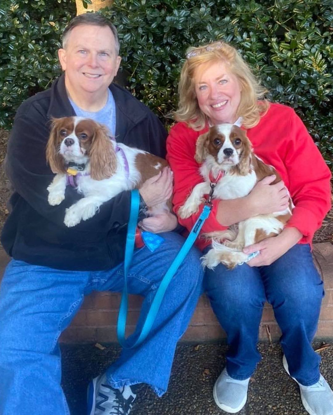 On this beautiful day, we’d like to congratulate Vinnie and Braden on finding their forever homes! 

<a target='_blank' href='https://www.instagram.com/explore/tags/orphanannierescue/'>#orphanannierescue</a>