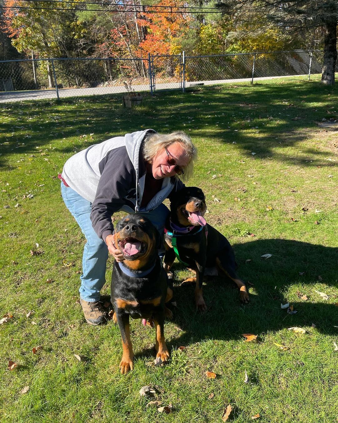 Remi is adopted! She joins former AHR dog, Ruger, in her new home. These two already act like old friends! Congratulations!
 
<a target='_blank' href='https://www.instagram.com/explore/tags/rottweilersofinstagram/'>#rottweilersofinstagram</a> <a target='_blank' href='https://www.instagram.com/explore/tags/fosteringsaveslives/'>#fosteringsaveslives</a> <a target='_blank' href='https://www.instagram.com/explore/tags/rirescue/'>#rirescue</a> <a target='_blank' href='https://www.instagram.com/explore/tags/rottweilerrescue/'>#rottweilerrescue</a> <a target='_blank' href='https://www.instagram.com/explore/tags/adopted/'>#adopted</a>