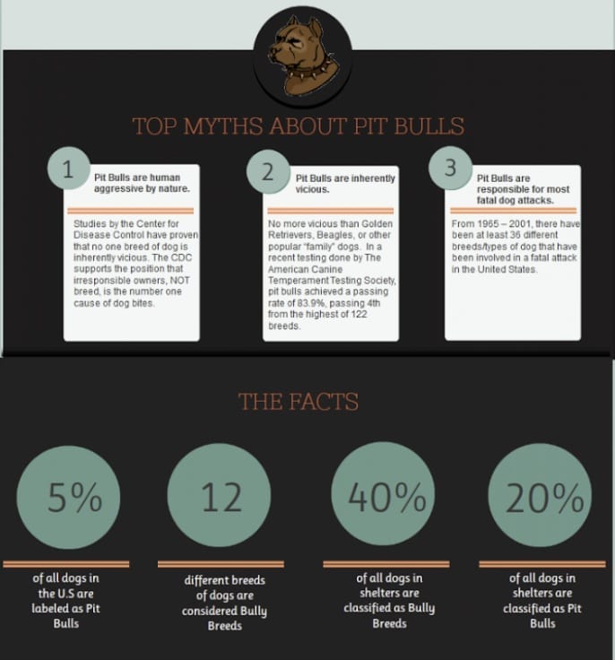 🐾🐾 <a target='_blank' href='https://www.instagram.com/explore/tags/nationalpitbullawarenessmonth/'>#nationalpitbullawarenessmonth</a> is upon us. Below, you'll see a few myths commonly associated with Pit Bulls. Please recognize, no dog is born evil or aggressive. Oftentimes, when a dog or breed is stigmatized, the judgment is being placed on the wrong side of the leash. Here's to a month of awareness and education to our Pittie friends!
.
<a target='_blank' href='https://www.instagram.com/explore/tags/texomadogranch/'>#texomadogranch</a> <a target='_blank' href='https://www.instagram.com/explore/tags/rescues/'>#rescues</a> <a target='_blank' href='https://www.instagram.com/explore/tags/adoptadog/'>#adoptadog</a> <a target='_blank' href='https://www.instagram.com/explore/tags/texas/'>#texas</a> <a target='_blank' href='https://www.instagram.com/explore/tags/houston/'>#houston</a> <a target='_blank' href='https://www.instagram.com/explore/tags/dallas/'>#dallas</a> <a target='_blank' href='https://www.instagram.com/explore/tags/austintx/'>#austintx</a> <a target='_blank' href='https://www.instagram.com/explore/tags/sanantoniotx/'>#sanantoniotx</a> <a target='_blank' href='https://www.instagram.com/explore/tags/pitbull/'>#pitbull</a> <a target='_blank' href='https://www.instagram.com/explore/tags/pitbullsofficial/'>#pitbullsofficial</a> <a target='_blank' href='https://www.instagram.com/explore/tags/pitbulllife/'>#pitbulllife</a> <a target='_blank' href='https://www.instagram.com/explore/tags/pitbulladvocate/'>#pitbulladvocate</a> <a target='_blank' href='https://www.instagram.com/explore/tags/october/'>#october</a> <a target='_blank' href='https://www.instagram.com/explore/tags/themoreyouknow/'>#themoreyouknow</a> <a target='_blank' href='https://www.instagram.com/explore/tags/infographic/'>#infographic</a>