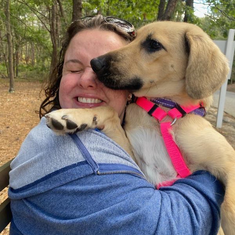 How has no one scooped up sweet Savanah yet? 🤷‍♀️

This 7-month-old pup has been patiently waiting to meet her forever family for weeks at our Westhampton location.

Savanah loves her people friends but she’s been displaying a little reactivity toward other dogs in the shelter. This could just be her having some anxiety in the shelter environment (sometimes the commotion of the shelter, the influx of new animals etc. can cause anxiety that might not exist in other environments). Or, she may prefer to be an only pet, in which case, you’ll never long for cuddles and love if Savanah is your one and only. ❤️

Let’s make last night the final night that Savanah ever has to wake up in a kennel. 🤞

Make this sweet girl a part of your family by visiting our Westhampton location today! 

<a target='_blank' href='https://www.instagram.com/explore/tags/betheirhero/'>#betheirhero</a> <a target='_blank' href='https://www.instagram.com/explore/tags/love/'>#love</a> <a target='_blank' href='https://www.instagram.com/explore/tags/bideawee/'>#bideawee</a> <a target='_blank' href='https://www.instagram.com/explore/tags/adoptme/'>#adoptme</a> <a target='_blank' href='https://www.instagram.com/explore/tags/dogs/'>#dogs</a> <a target='_blank' href='https://www.instagram.com/explore/tags/dogsofinstagram/'>#dogsofinstagram</a> <a target='_blank' href='https://www.instagram.com/explore/tags/dogstagram/'>#dogstagram</a> <a target='_blank' href='https://www.instagram.com/explore/tags/dogsofinsta/'>#dogsofinsta</a> <a target='_blank' href='https://www.instagram.com/explore/tags/dogsofig/'>#dogsofig</a> <a target='_blank' href='https://www.instagram.com/explore/tags/ilovedogs/'>#ilovedogs</a> <a target='_blank' href='https://www.instagram.com/explore/tags/puppies/'>#puppies</a> <a target='_blank' href='https://www.instagram.com/explore/tags/puppiesofinstagram/'>#puppiesofinstagram</a> <a target='_blank' href='https://www.instagram.com/explore/tags/bestfriend/'>#bestfriend</a> <a target='_blank' href='https://www.instagram.com/explore/tags/cute/'>#cute</a> <a target='_blank' href='https://www.instagram.com/explore/tags/mansbestfriend/'>#mansbestfriend</a> <a target='_blank' href='https://www.instagram.com/explore/tags/longisland/'>#longisland</a> <a target='_blank' href='https://www.instagram.com/explore/tags/hamptons/'>#hamptons</a> <a target='_blank' href='https://www.instagram.com/explore/tags/westhampton/'>#westhampton</a>