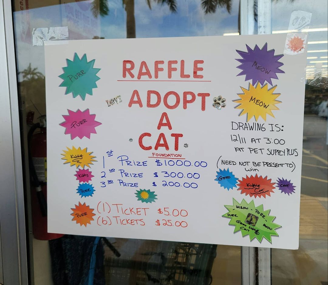 Come out to <a target='_blank' href='https://www.instagram.com/explore/tags/PetSuppliesPlus/'>#PetSuppliesPlus</a> to buy some Raffle Tickets from volunteer Joanne Gonnella for Adopt a Cat Foundation's Biggest Fundraiser! You can win B.I.G. M.O.N.E.Y. in our raffles and the odds are WAY better than the Lotto! Joanne will be here until around 4 p.m., after which you can buy them from Stacey deLucia in <a target='_blank' href='https://www.instagram.com/explore/tags/TheAdoptionZone/'>#TheAdoptionZone</a> !

<a target='_blank' href='https://www.instagram.com/explore/tags/adoptacatfoundation/'>#adoptacatfoundation</a> <a target='_blank' href='https://www.instagram.com/explore/tags/adoptacat/'>#adoptacat</a> <a target='_blank' href='https://www.instagram.com/explore/tags/Petsuppliesplus/'>#Petsuppliesplus</a> <a target='_blank' href='https://www.instagram.com/explore/tags/adoptacatresale/'>#adoptacatresale</a> <a target='_blank' href='https://www.instagram.com/explore/tags/raffletickets/'>#raffletickets</a> <a target='_blank' href='https://www.instagram.com/explore/tags/cats/'>#cats</a>