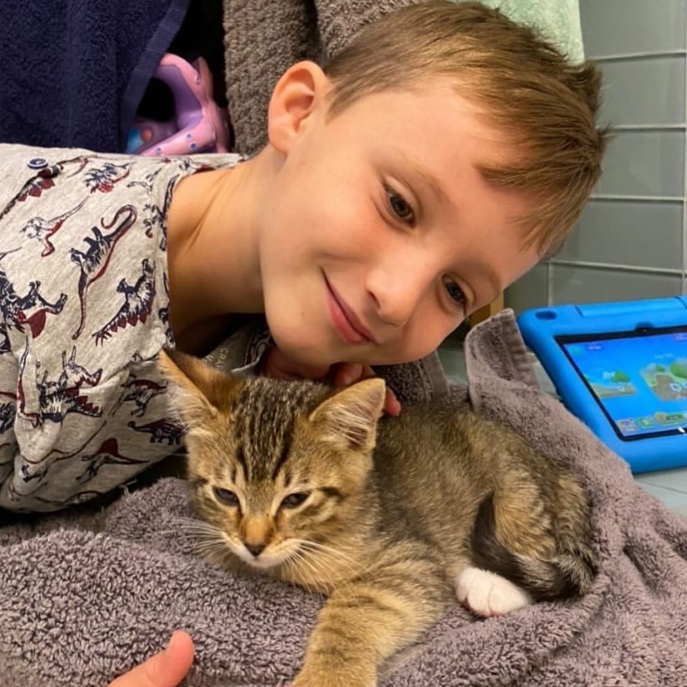 This is the look of pure joy! 🌈 Randi and her boys couldn't wait to adopt their best new 💞 buddy from Best Friends! Little 🐱 Rex has settled in with his new family and Randi says the boys couldn't be happier!

Best Friends Salt Lake City has lots of pets 🐕 available for adoption, and you can adopt your best new buddy, too! Visit us at 2005 S. 1100 E. daily or check our website to see who's available and fill out an adoption survey at bestfriendsutah.org, using the link in our bio. 

The Best Friends Lifesaving Center in Salt Lake City does adoptions by appointment and at our center between 12-4pm Sunday and Monday and 12-6pm Tuesday through Saturday. If you are interested in adopting a specific pet, please complete our dog adoption survey or cat adoption survey to provide us information about your lifestyle and what you are looking for in a dog or cat. An adoption specialist will be in touch with you within 48 hours via phone or email to advise next steps. Thank you for your continued support of the animals in Utah. 

<a target='_blank' href='https://www.instagram.com/explore/tags/SaveThemAll/'>#SaveThemAll</a> <a target='_blank' href='https://www.instagram.com/explore/tags/BestFriendsAnimalSociety/'>#BestFriendsAnimalSociety</a> <a target='_blank' href='https://www.instagram.com/explore/tags/adoptdontshop/'>#adoptdontshop</a> <a target='_blank' href='https://www.instagram.com/explore/tags/Utah/'>#Utah</a> <a target='_blank' href='https://www.instagram.com/explore/tags/SLC/'>#SLC</a> <a target='_blank' href='https://www.instagram.com/explore/tags/SaltLakeCity/'>#SaltLakeCity</a> <a target='_blank' href='https://www.instagram.com/explore/tags/BestFriendsUtah/'>#BestFriendsUtah</a> <a target='_blank' href='https://www.instagram.com/explore/tags/NKUT/'>#NKUT</a> <a target='_blank' href='https://www.instagram.com/explore/tags/BestFriendsSLC/'>#BestFriendsSLC</a>