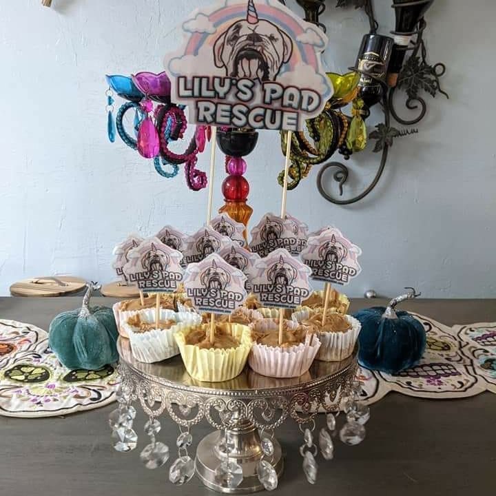 You're doing something right when an adoptive family has a birthday party for the namesake of your rescue. Lilypad changed so many lives. Happy Heavenly Birthday baby girl! 
<a target='_blank' href='https://www.instagram.com/explore/tags/lilyspadrescuealumni/'>#lilyspadrescuealumni</a> <a target='_blank' href='https://www.instagram.com/explore/tags/heavenlybirthday/'>#heavenlybirthday</a> <a target='_blank' href='https://www.instagram.com/explore/tags/birthdayparty/'>#birthdayparty</a> <a target='_blank' href='https://www.instagram.com/explore/tags/rescuelife/'>#rescuelife</a> <a target='_blank' href='https://www.instagram.com/explore/tags/lilyspadrescue/'>#lilyspadrescue</a> <a target='_blank' href='https://www.instagram.com/explore/tags/bulldogrescue/'>#bulldogrescue</a> <a target='_blank' href='https://www.instagram.com/explore/tags/bullynation/'>#bullynation</a>