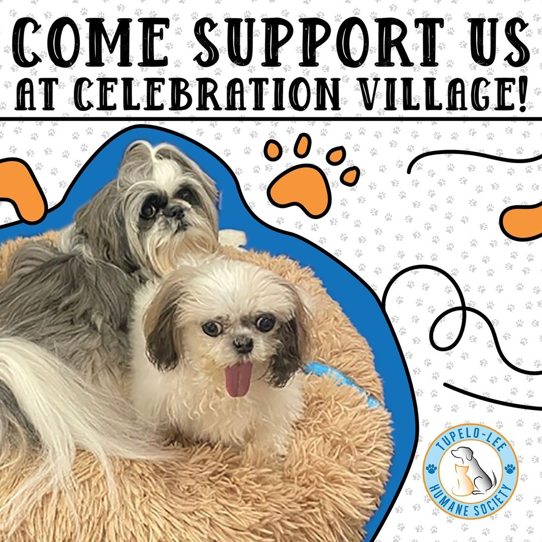 Come support the Tupelo-Lee Humane Society at the Celebration Village and surprise someone this Christmas with a charitable gift in their honor! We look forward to seeing you! <a target='_blank' href='https://www.instagram.com/explore/tags/TLHS/'>#TLHS</a> <a target='_blank' href='https://www.instagram.com/explore/tags/PawPartner/'>#PawPartner</a> <a target='_blank' href='https://www.instagram.com/explore/tags/CelebrationVillage/'>#CelebrationVillage</a> <a target='_blank' href='https://www.instagram.com/explore/tags/Christmas/'>#Christmas</a> <a target='_blank' href='https://www.instagram.com/explore/tags/HumaneSociety/'>#HumaneSociety</a>