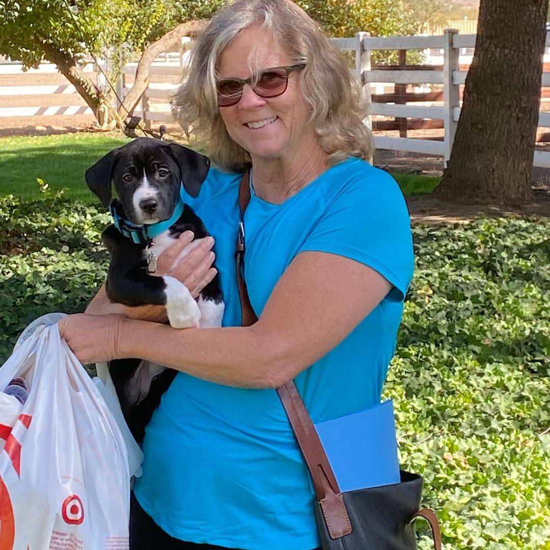 It was a good day for 9 <a target='_blank' href='https://www.instagram.com/explore/tags/jakeswishdogrescue/'>#jakeswishdogrescue</a> pups. Our volunteers were up early to get our <a target='_blank' href='https://www.instagram.com/explore/tags/gravityfalls/'>#gravityfalls</a> pups and Wade and Bailey into their <a target='_blank' href='https://www.instagram.com/explore/tags/foreverhomes/'>#foreverhomes</a>. Big congratulations to Dipper, Soos, Wendy, Candy, Waddles(not pictured), Tambry, Grenda, Wade and Bailey. We owe our partners at <a target='_blank' href='https://www.instagram.com/explore/tags/snipbusmontereycounty/'>#snipbusmontereycounty</a> a huge thank you for helping us get these pups fixed and vaccinated so we can assure none of them have pups of their own <a target='_blank' href='https://www.instagram.com/explore/tags/teamworkmakesthedreamwork/'>#teamworkmakesthedreamwork</a> <a target='_blank' href='https://www.instagram.com/explore/tags/fosersaveslives/'>#fosersaveslives</a> <a target='_blank' href='https://www.instagram.com/explore/tags/fosterhomesneeded/'>#fosterhomesneeded</a>  <a target='_blank' href='https://www.instagram.com/explore/tags/pitbullsofinstagram/'>#pitbullsofinstagram</a> <a target='_blank' href='https://www.instagram.com/explore/tags/snipbus/'>#snipbus</a>