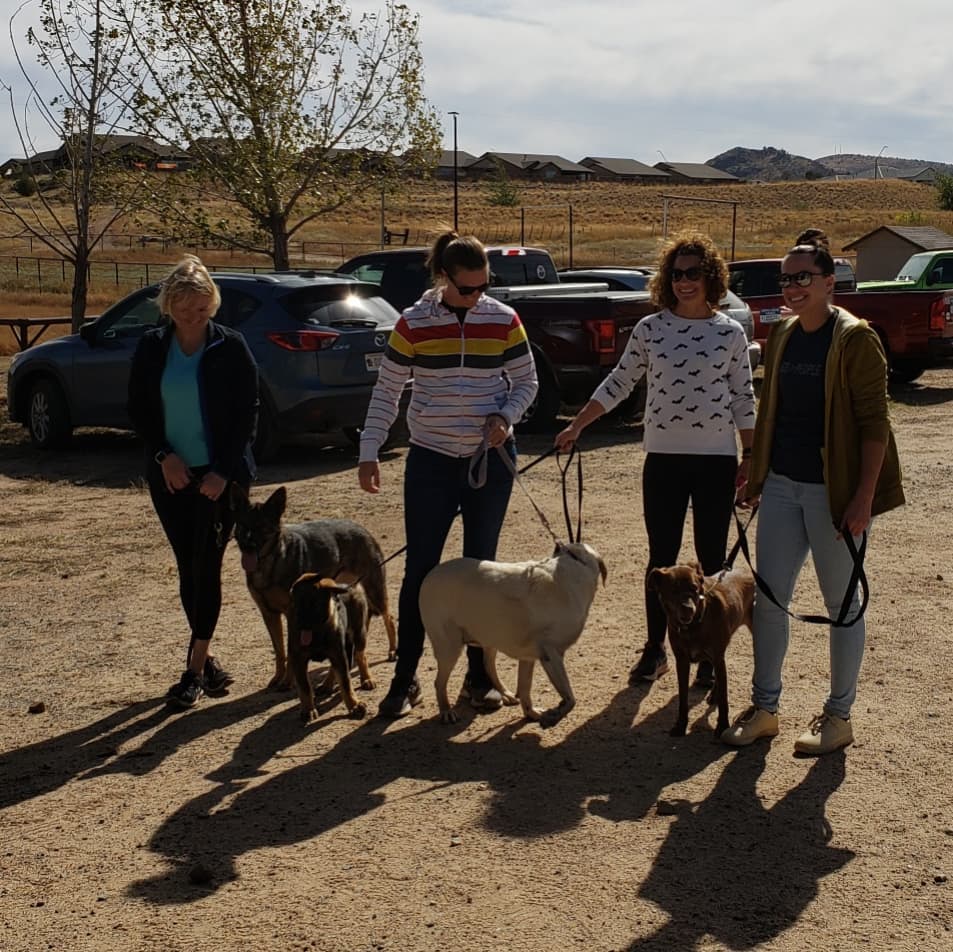 Hike for Hounds 2021 was a huge success! Thanks to all of our sponsors and hikers for coming out today. Can't wait till next year!