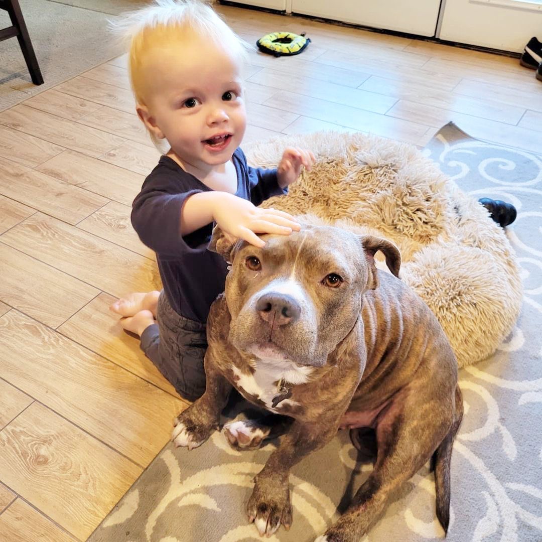 Y’ALL!!!! This Saturday is brought to you by Hank (fka Buddy) and his new brother because he’s been adopted! 🥳

Here’s what his new family had to say: “We are thrilled to announce we opened our hearts and our home to this handsome short stack rescue pibble, HANK!! 🐶💙We found him through the incredible @realgoodrescue and are overjoyed to be able to give this sweet boy a second chance at life. He's been with us for almost 2 weeks and has been nothing short of amazing while integrating him into our life. He is so patient, gentle, and sweet. He and Connor are becoming fast friends, and it warms my heart knowing Connor has a canine companion again. 🐾 He is obsessed with helping us feed him. 🤭 Hank is the perfect mix of couch potato and playful hippo. We are all over the moon in love with him. 🥰”

<a target='_blank' href='https://www.instagram.com/explore/tags/RealGoodRescue/'>#RealGoodRescue</a> <a target='_blank' href='https://www.instagram.com/explore/tags/RealGoodGang/'>#RealGoodGang</a>