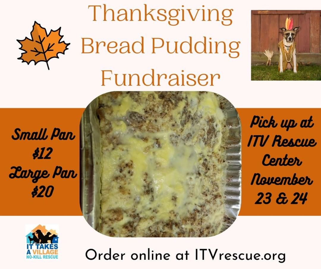 We are now accepting orders for our Thanksgiving bread pudding fundraiser!! Pick up is the Tuesday and Wednesday before Thanksgiving at the Evansville ITV Rescue Center. Order online at ITVrescue.org!