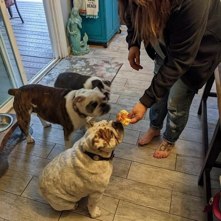 You're doing something right when an adoptive family has a birthday party for the namesake of your rescue. Lilypad changed so many lives. Happy Heavenly Birthday baby girl! 
<a target='_blank' href='https://www.instagram.com/explore/tags/lilyspadrescuealumni/'>#lilyspadrescuealumni</a> <a target='_blank' href='https://www.instagram.com/explore/tags/heavenlybirthday/'>#heavenlybirthday</a> <a target='_blank' href='https://www.instagram.com/explore/tags/birthdayparty/'>#birthdayparty</a> <a target='_blank' href='https://www.instagram.com/explore/tags/rescuelife/'>#rescuelife</a> <a target='_blank' href='https://www.instagram.com/explore/tags/lilyspadrescue/'>#lilyspadrescue</a> <a target='_blank' href='https://www.instagram.com/explore/tags/bulldogrescue/'>#bulldogrescue</a> <a target='_blank' href='https://www.instagram.com/explore/tags/bullynation/'>#bullynation</a>