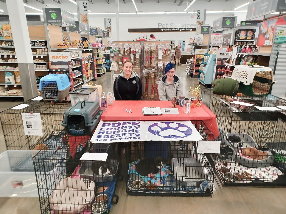 We are out at PetSmart Willmar again until 5 pm today. We have adoptable kitties and are collecting donations! 🐱🐶