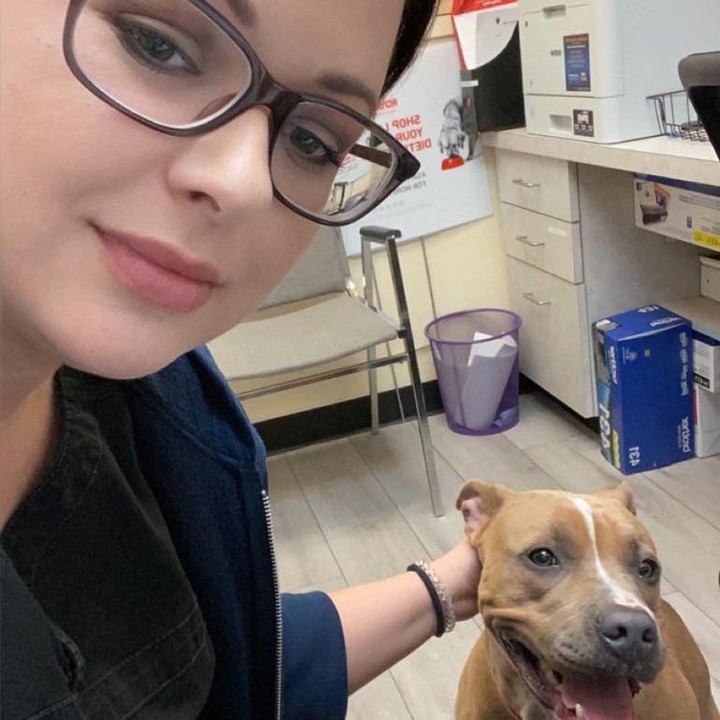 ADOPTED! We are so happy to announce that Mia has been adopted! She hit the lotto for sure. Thanks to the wonderful Good Samaritan who found her, cared for her and trained her and our amazing family who opened their home to her. Congratulations Mia!