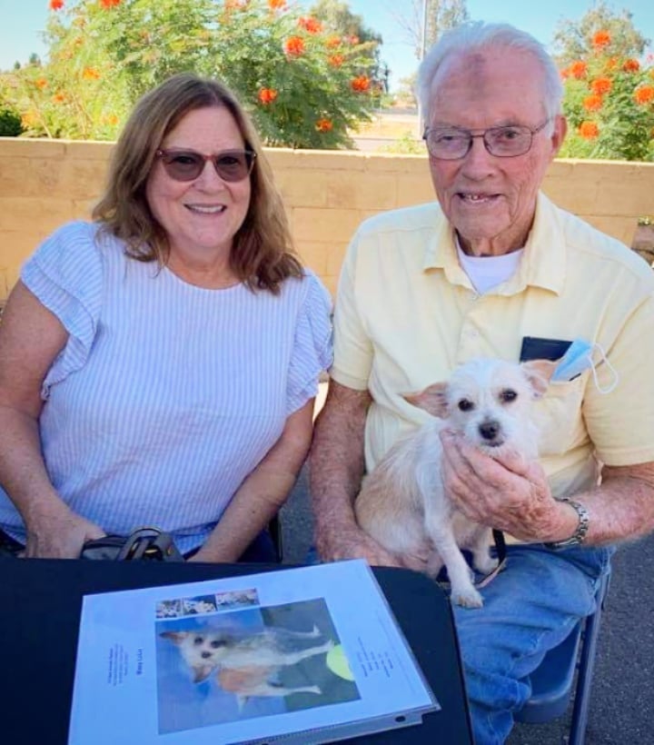 🏡 Awesome Adoptions Part Two 🎉🐾🎉
These happy photos are a combination of our PETCO Store Tour debut last week and recent adoptions this week 💖

1) Amber the gorgeous American Shorthair found an amazing home
2) Shortcake the ginger 
3) Missy Lulu the mama terrier mix 
4) Rain the tortie kitten 
5) Jack Skellington the ginger kitten 
6) Squiggy the chihuahua 
7) Blueberry the ginger kitten 
8) Georgie Girl the pantherette 
9 + 10) Siblings Dotti and Orange Boy went home together 

All this happiness is possible because of our dedicated fosters, volunteers, staff, supporters and especially our adopters who help us save lives. 

Thank you 🙏🏼🙏🏼🙏🏼
We love you all ❤

<a target='_blank' href='https://www.instagram.com/explore/tags/allaboutanimalsrescueaz/'>#allaboutanimalsrescueaz</a> <a target='_blank' href='https://www.instagram.com/explore/tags/savealife/'>#savealife</a> <a target='_blank' href='https://www.instagram.com/explore/tags/compassioninaction/'>#compassioninaction</a> <a target='_blank' href='https://www.instagram.com/explore/tags/adoptdontshop/'>#adoptdontshop</a> <a target='_blank' href='https://www.instagram.com/explore/tags/rescuedismyfavoritebreed/'>#rescuedismyfavoritebreed</a> <a target='_blank' href='https://www.instagram.com/explore/tags/rescuefosteradopt/'>#rescuefosteradopt</a> <a target='_blank' href='https://www.instagram.com/explore/tags/fosteringsaveslives/'>#fosteringsaveslives</a> <a target='_blank' href='https://www.instagram.com/explore/tags/thinkadoptionfirst/'>#thinkadoptionfirst</a> <a target='_blank' href='https://www.instagram.com/explore/tags/lovechangeseverything/'>#lovechangeseverything</a> <a target='_blank' href='https://www.instagram.com/explore/tags/allyouneedislove/'>#allyouneedislove</a> <a target='_blank' href='https://www.instagram.com/explore/tags/ifoundmyfureverhome/'>#ifoundmyfureverhome</a> <a target='_blank' href='https://www.instagram.com/explore/tags/happyeverafter/'>#happyeverafter</a> <a target='_blank' href='https://www.instagram.com/explore/tags/happytails/'>#happytails</a> <a target='_blank' href='https://www.instagram.com/explore/tags/fureverhome/'>#fureverhome</a> <a target='_blank' href='https://www.instagram.com/explore/tags/supportrescue/'>#supportrescue</a> <a target='_blank' href='https://www.instagram.com/explore/tags/fromthestreetstothesheets/'>#fromthestreetstothesheets</a> <a target='_blank' href='https://www.instagram.com/explore/tags/weloveouradopters/'>#weloveouradopters</a> <a target='_blank' href='https://www.instagram.com/explore/tags/gratitude/'>#gratitude</a> <a target='_blank' href='https://www.instagram.com/explore/tags/thankful/'>#thankful</a> <a target='_blank' href='https://www.instagram.com/explore/tags/rescueworks/'>#rescueworks</a> <a target='_blank' href='https://www.instagram.com/explore/tags/rescuepetsrock/'>#rescuepetsrock</a> <a target='_blank' href='https://www.instagram.com/explore/tags/thankyouforchoosingadoption/'>#thankyouforchoosingadoption</a> <a target='_blank' href='https://www.instagram.com/explore/tags/helpussavelives/'>#helpussavelives</a>