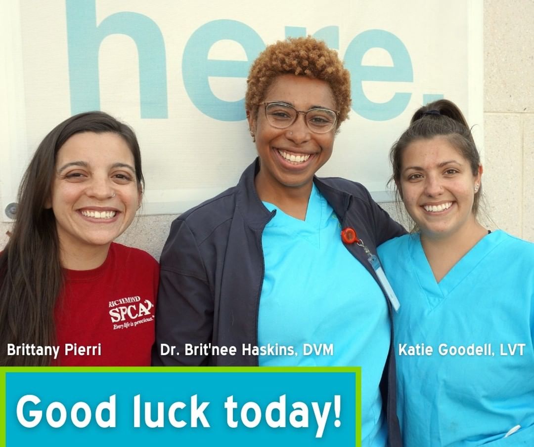 Good luck to our staff and volunteers who are running the <a target='_blank' href='https://www.instagram.com/explore/tags/RichmondMarathon/'>#RichmondMarathon</a> today!  Manager of Internal Veterinary Services Brittany Pierri, Associate Veterinarian Dr. Brit'nee Haskins, Licensed Veterinary Technician Katie Goodell as well as Running Buddies volunteer Leanne Battle (not pictured) have been training hard. We hope you'll join us in rooting for these compassionate animal lovers!

After cheering on your friends, please stop by our humane center from 11 a.m. to 6 p.m. to meet our pets awaiting adoption. Race organizers recommend the Waze App to navigate RVA road closures today.