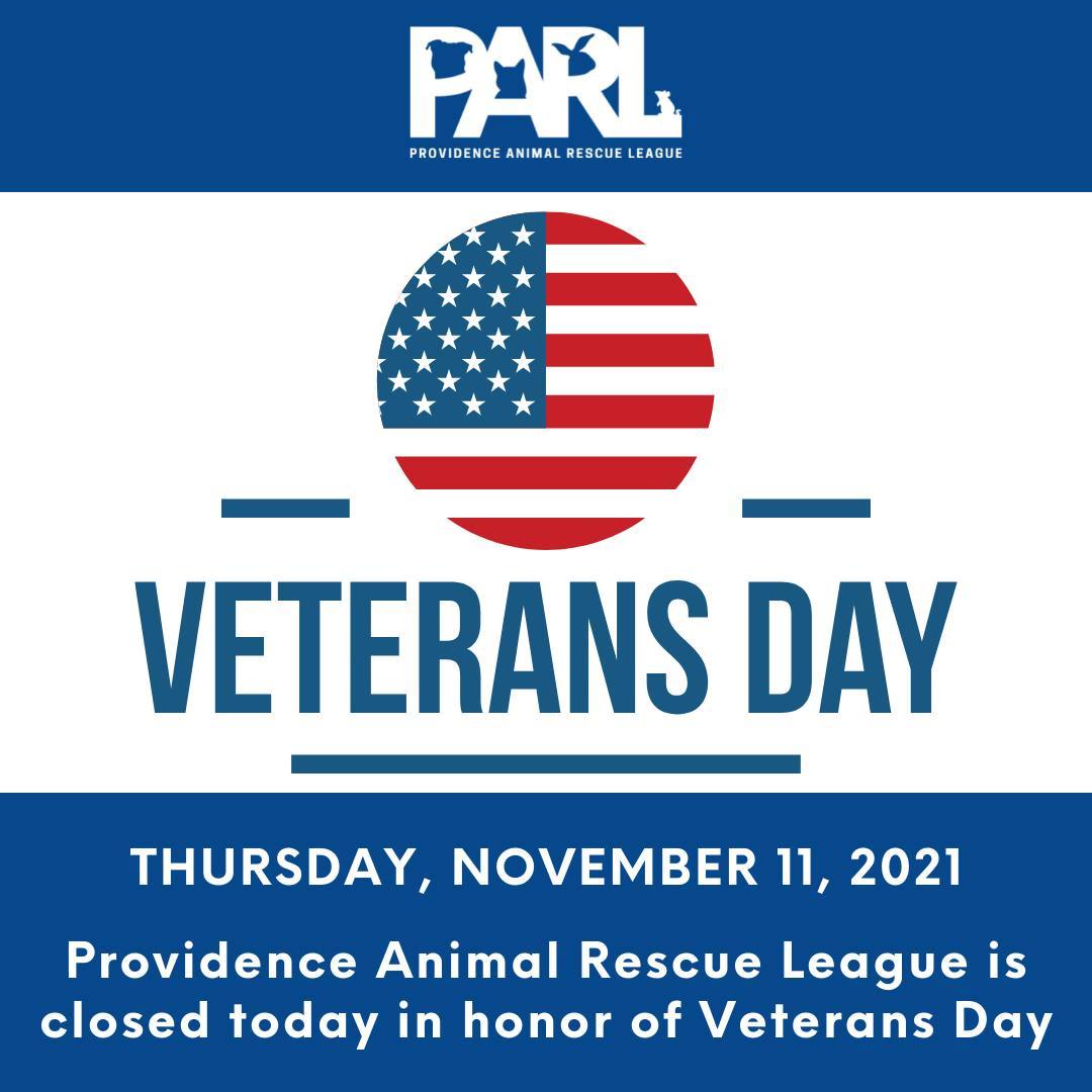 Providence Animal Rescue League is closed today in honor of Veterans Day. We will resume normal operating hours on Friday, November 12th. <a target='_blank' href='https://www.instagram.com/explore/tags/ThankYouForYourService/'>#ThankYouForYourService</a>