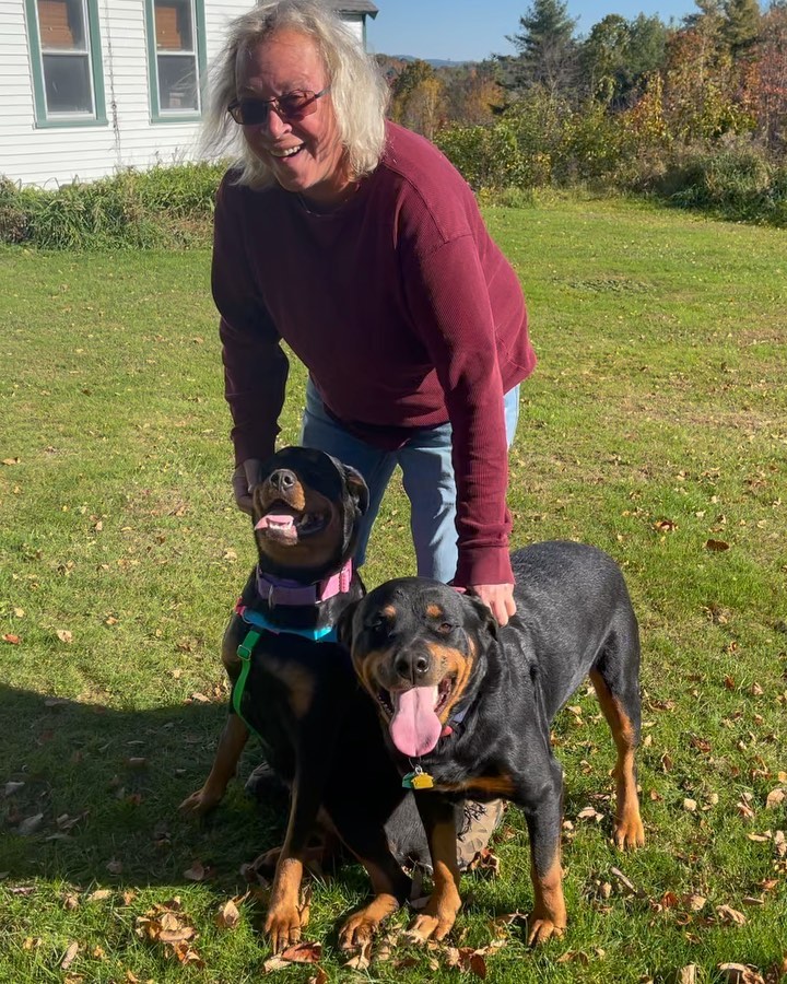 Remi is adopted! She joins former AHR dog, Ruger, in her new home. These two already act like old friends! Congratulations!
 
<a target='_blank' href='https://www.instagram.com/explore/tags/rottweilersofinstagram/'>#rottweilersofinstagram</a> <a target='_blank' href='https://www.instagram.com/explore/tags/fosteringsaveslives/'>#fosteringsaveslives</a> <a target='_blank' href='https://www.instagram.com/explore/tags/rirescue/'>#rirescue</a> <a target='_blank' href='https://www.instagram.com/explore/tags/rottweilerrescue/'>#rottweilerrescue</a> <a target='_blank' href='https://www.instagram.com/explore/tags/adopted/'>#adopted</a>