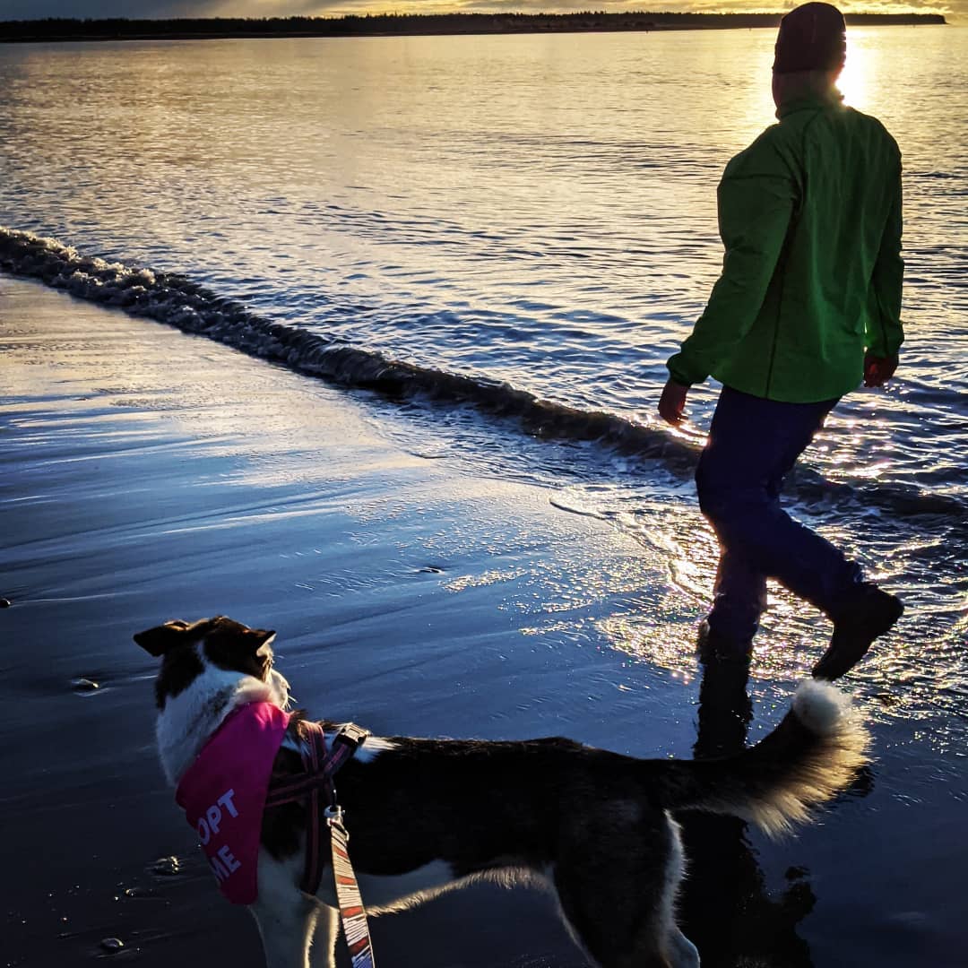 Sunday Fundays were made for beach walks, looking for jellyfish & meeting new pals! 
Nova loved chillin' in the salty air & soaking up the sunshine! ☀️ Me too, girl! 🙌
<a target='_blank' href='https://www.instagram.com/explore/tags/kpalrescue/'>#kpalrescue</a> 
<a target='_blank' href='https://www.instagram.com/explore/tags/adoptme/'>#adoptme</a>
<a target='_blank' href='https://www.instagram.com/explore/tags/staysalty/'>#staysalty</a> 
<a target='_blank' href='https://www.instagram.com/explore/tags/sundayfunday/'>#sundayfunday</a>