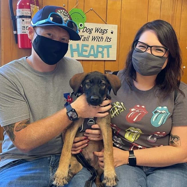 Another great adoption!  Nerva found herself a home and a furever family.
Congratulations baby girl! Happy tails.

One day unwanted but now on to a good life!

<a target='_blank' href='https://www.instagram.com/explore/tags/adoptarescuepuppy/'>#adoptarescuepuppy</a> <a target='_blank' href='https://www.instagram.com/explore/tags/rescuepuppies/'>#rescuepuppies</a> <a target='_blank' href='https://www.instagram.com/explore/tags/adoptdontshop/'>#adoptdontshop</a> <a target='_blank' href='https://www.instagram.com/explore/tags/jellysplace/'>#jellysplace</a>