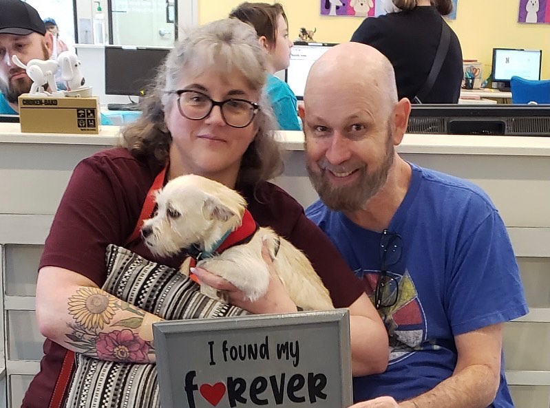 Camera shy Taloola found her forever home today! <a target='_blank' href='https://www.instagram.com/explore/tags/fflgilbert/'>#fflgilbert</a> <a target='_blank' href='https://www.instagram.com/explore/tags/adoptlove/'>#adoptlove</a>