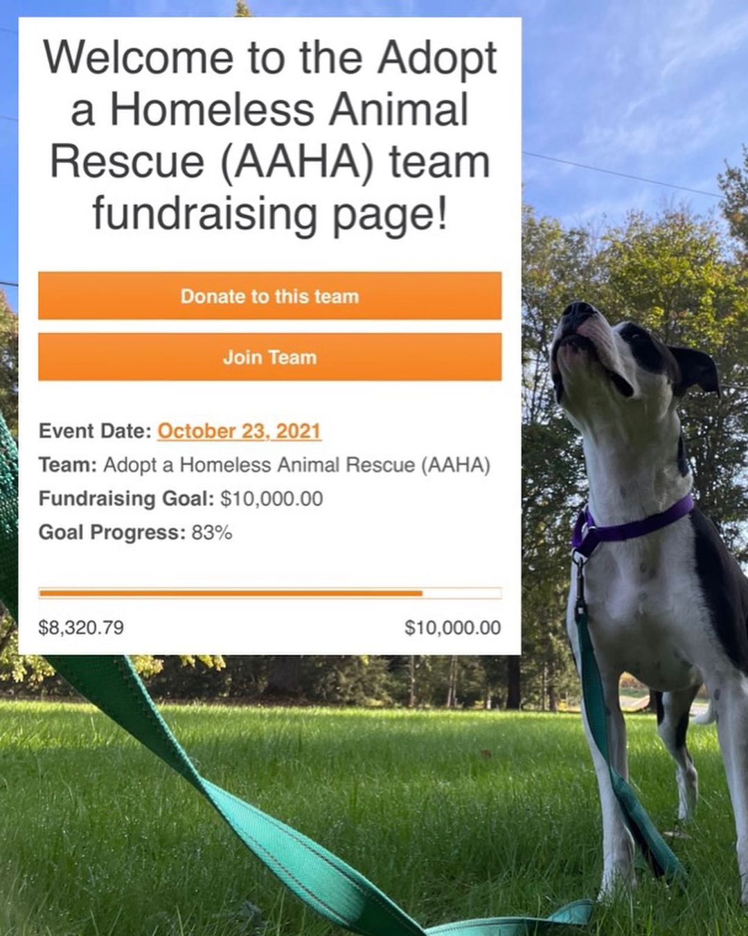 The fundraiser ends TOMORROW so this is our last push to get closer to our goal of raising $10,000 for the pups of AAHA Rescue. We have had a lot of medical needs that have drained our account. Any amount you can donate will allow us to help these pups in dire need of rescue.

YOU can make a difference today by partnering with AAHA Rescue. 
HUGE THANK YOU to everyone that has already supported our mission ! <a target='_blank' href='https://www.instagram.com/explore/tags/linkinbio/'>#linkinbio</a> <a target='_blank' href='https://www.instagram.com/explore/tags/bestfriendsanimalsociety/'>#bestfriendsanimalsociety</a> @bestfriendsanimalsociety <a target='_blank' href='https://www.instagram.com/explore/tags/rescuedog/'>#rescuedog</a> <a target='_blank' href='https://www.instagram.com/explore/tags/savethemall/'>#savethemall</a>