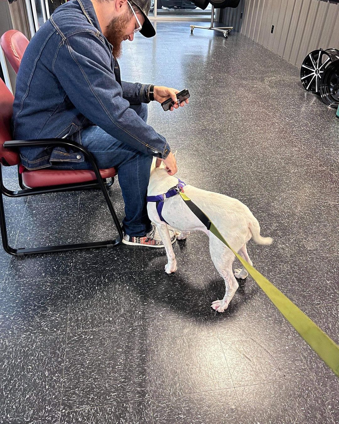 <a target='_blank' href='https://www.instagram.com/explore/tags/winterintakesarecoming/'>#winterintakesarecoming</a> Marley heading to her new home in Minnesota 🙏🏼 <a target='_blank' href='https://www.instagram.com/explore/tags/ittakesavillage/'>#ittakesavillage</a> <a target='_blank' href='https://www.instagram.com/explore/tags/bullterrierrescue/'>#bullterrierrescue</a>