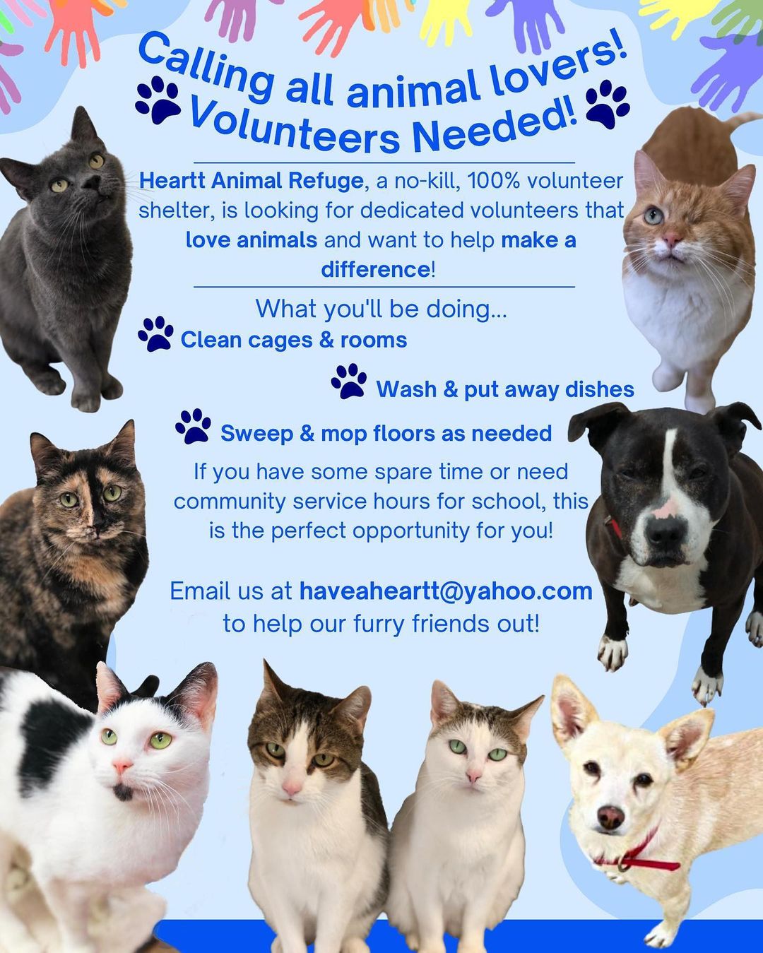 🐾 Are you looking for ways to help animals in your spare time? We are in desperate need of weekday volunteers, particularly for Mondays and Fridays during the day. If you can devote just a couple of hours to help our furry friends out, you'll be making a wonderful impact! 🐾 
Email us at: HaveAHeartt@yahoo.com to set up a time!
________________________________________
<a target='_blank' href='https://www.instagram.com/explore/tags/adoptdontshop/'>#adoptdontshop</a> <a target='_blank' href='https://www.instagram.com/explore/tags/animalrefuge/'>#animalrefuge</a> <a target='_blank' href='https://www.instagram.com/explore/tags/nonprofit/'>#nonprofit</a> <a target='_blank' href='https://www.instagram.com/explore/tags/cincinnatioh/'>#cincinnatioh</a> <a target='_blank' href='https://www.instagram.com/explore/tags/hearttanimalrefuge/'>#hearttanimalrefuge</a> <a target='_blank' href='https://www.instagram.com/explore/tags/catsagram/'>#catsagram</a> <a target='_blank' href='https://www.instagram.com/explore/tags/cincinnatianimaladoption/'>#cincinnatianimaladoption</a> <a target='_blank' href='https://www.instagram.com/explore/tags/rescuecatsofinstagram/'>#rescuecatsofinstagram</a> <a target='_blank' href='https://www.instagram.com/explore/tags/thebeautyofcats/'>#thebeautyofcats</a> <a target='_blank' href='https://www.instagram.com/explore/tags/blackcatsofinstagram/'>#blackcatsofinstagram</a> <a target='_blank' href='https://www.instagram.com/explore/tags/kittensofinstagram/'>#kittensofinstagram</a> <a target='_blank' href='https://www.instagram.com/explore/tags/dogsofinstagram/'>#dogsofinstagram</a> <a target='_blank' href='https://www.instagram.com/explore/tags/sharonvilleohio/'>#sharonvilleohio</a> <a target='_blank' href='https://www.instagram.com/explore/tags/sharonville/'>#sharonville</a>