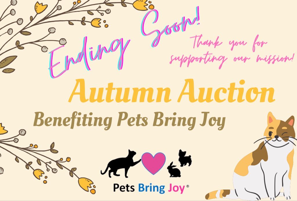 Our Autumn Auction is closing soon! Please get your final bids in by midnight EST.  We are so grateful to have your support. Thank you for being a special part of our rescue community. Love and purrs to all!  https://bit.ly/2YFiE8x