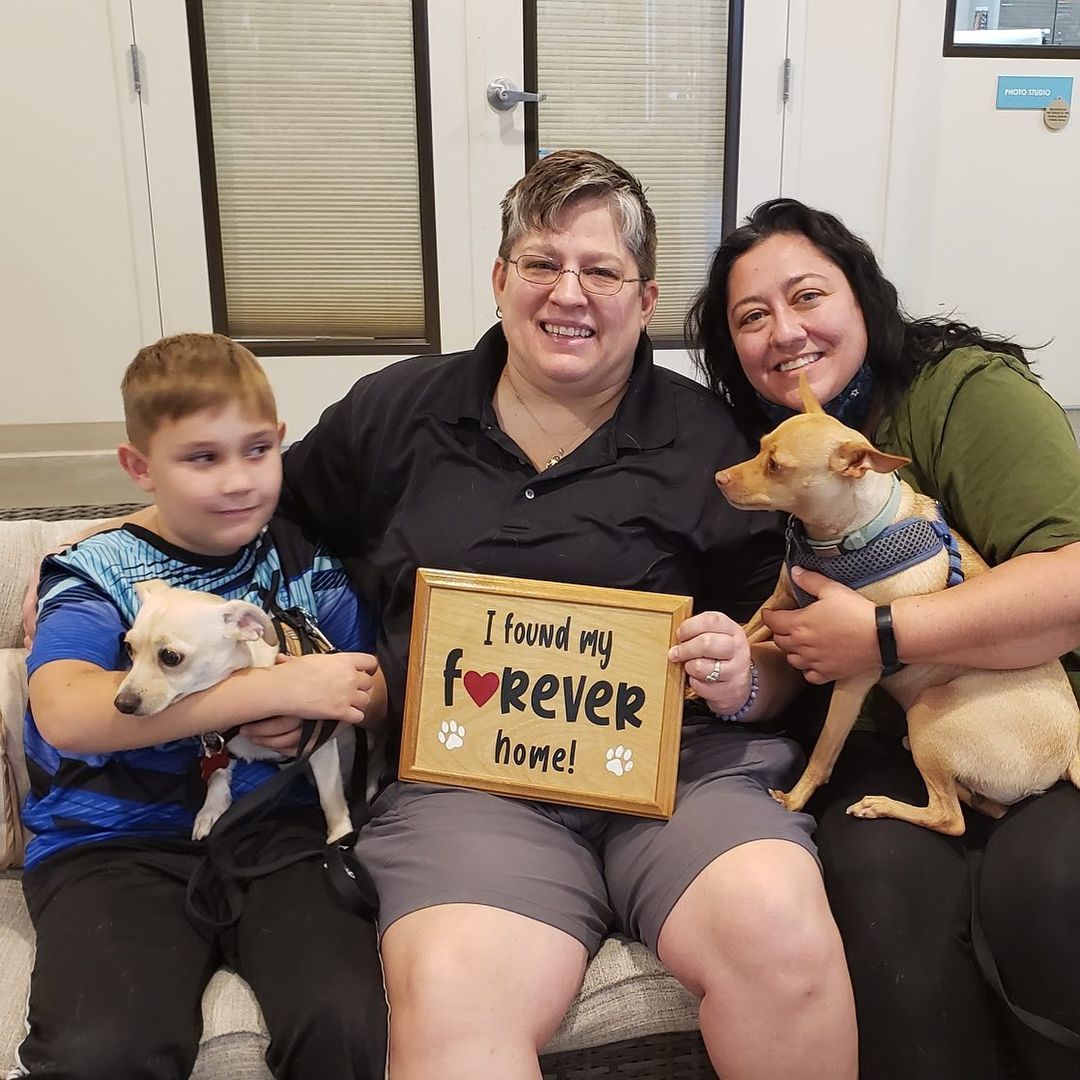 Carley, on the left, joins her new forever family today! <a target='_blank' href='https://www.instagram.com/explore/tags/fflgilbert/'>#fflgilbert</a> <a target='_blank' href='https://www.instagram.com/explore/tags/adoptlove/'>#adoptlove</a>