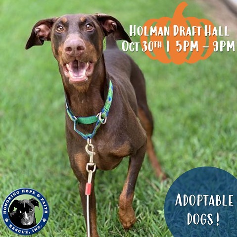 Come meet some of our adoptable dogs at @holmandrafthall_htx this Saturday from 5pm-9pm. You can also check out our available dogs at www.hhfrescue.org. <a target='_blank' href='https://www.instagram.com/explore/tags/hhfr/'>#hhfr</a> <a target='_blank' href='https://www.instagram.com/explore/tags/rescuedogs/'>#rescuedogs</a> <a target='_blank' href='https://www.instagram.com/explore/tags/adoptdontshop/'>#adoptdontshop</a> <a target='_blank' href='https://www.instagram.com/explore/tags/Houston/'>#Houston</a>