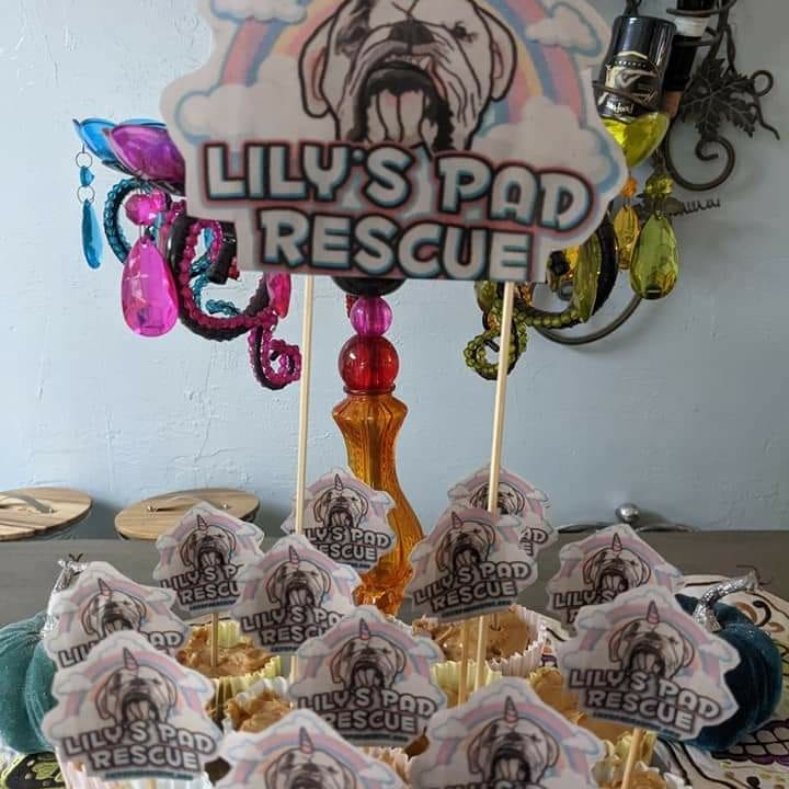 You're doing something right when an adoptive family has a birthday party for the namesake of your rescue. Lilypad changed so many lives. Happy Heavenly Birthday baby girl! 
<a target='_blank' href='https://www.instagram.com/explore/tags/lilyspadrescuealumni/'>#lilyspadrescuealumni</a> <a target='_blank' href='https://www.instagram.com/explore/tags/heavenlybirthday/'>#heavenlybirthday</a> <a target='_blank' href='https://www.instagram.com/explore/tags/birthdayparty/'>#birthdayparty</a> <a target='_blank' href='https://www.instagram.com/explore/tags/rescuelife/'>#rescuelife</a> <a target='_blank' href='https://www.instagram.com/explore/tags/lilyspadrescue/'>#lilyspadrescue</a> <a target='_blank' href='https://www.instagram.com/explore/tags/bulldogrescue/'>#bulldogrescue</a> <a target='_blank' href='https://www.instagram.com/explore/tags/bullynation/'>#bullynation</a>