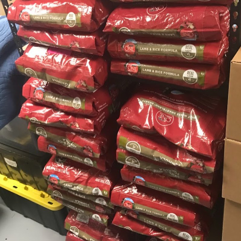 Holy Cow! Last week we shared that we were in need of adult dog kibble and WOW did you make it happen! We received an incredible outpouring of donations and our doggos' bellies are sure to be filled for a long time. Thank you SO MUCH to everyone who donated! It's only because of YOU that we are able to save lives every single day!⠀
⠀
<a target='_blank' href='https://www.instagram.com/explore/tags/houstonpetsalive/'>#houstonpetsalive</a> <a target='_blank' href='https://www.instagram.com/explore/tags/thankyou/'>#thankyou</a> <a target='_blank' href='https://www.instagram.com/explore/tags/thanks/'>#thanks</a> <a target='_blank' href='https://www.instagram.com/explore/tags/grateful/'>#grateful</a> <a target='_blank' href='https://www.instagram.com/explore/tags/thankful/'>#thankful</a> <a target='_blank' href='https://www.instagram.com/explore/tags/donation/'>#donation</a> <a target='_blank' href='https://www.instagram.com/explore/tags/donations/'>#donations</a> <a target='_blank' href='https://www.instagram.com/explore/tags/donate/'>#donate</a> <a target='_blank' href='https://www.instagram.com/explore/tags/ittakesavillage/'>#ittakesavillage</a> <a target='_blank' href='https://www.instagram.com/explore/tags/purinaone/'>#purinaone</a> <a target='_blank' href='https://www.instagram.com/explore/tags/purinaproplan/'>#purinaproplan</a> <a target='_blank' href='https://www.instagram.com/explore/tags/dog/'>#dog</a> <a target='_blank' href='https://www.instagram.com/explore/tags/dogs/'>#dogs</a> <a target='_blank' href='https://www.instagram.com/explore/tags/dogsofinstagram/'>#dogsofinstagram</a> <a target='_blank' href='https://www.instagram.com/explore/tags/dogs_of_instagram/'>#dogs_of_instagram</a> <a target='_blank' href='https://www.instagram.com/explore/tags/doggo/'>#doggo</a> <a target='_blank' href='https://www.instagram.com/explore/tags/doggos/'>#doggos</a> <a target='_blank' href='https://www.instagram.com/explore/tags/rescue/'>#rescue</a> <a target='_blank' href='https://www.instagram.com/explore/tags/rescuedog/'>#rescuedog</a> <a target='_blank' href='https://www.instagram.com/explore/tags/rescueismyfavoritebreed/'>#rescueismyfavoritebreed</a> <a target='_blank' href='https://www.instagram.com/explore/tags/rescuepup/'>#rescuepup</a> <a target='_blank' href='https://www.instagram.com/explore/tags/rescuedoggo/'>#rescuedoggo</a> <a target='_blank' href='https://www.instagram.com/explore/tags/saveadog/'>#saveadog</a> <a target='_blank' href='https://www.instagram.com/explore/tags/saveapup/'>#saveapup</a> <a target='_blank' href='https://www.instagram.com/explore/tags/houston/'>#houston</a> <a target='_blank' href='https://www.instagram.com/explore/tags/htx/'>#htx</a> <a target='_blank' href='https://www.instagram.com/explore/tags/houstonrescue/'>#houstonrescue</a> <a target='_blank' href='https://www.instagram.com/explore/tags/donatehouston/'>#donatehouston</a> <a target='_blank' href='https://www.instagram.com/explore/tags/thankyouhouston/'>#thankyouhouston</a> <a target='_blank' href='https://www.instagram.com/explore/tags/thankyousomuch/'>#thankyousomuch</a>