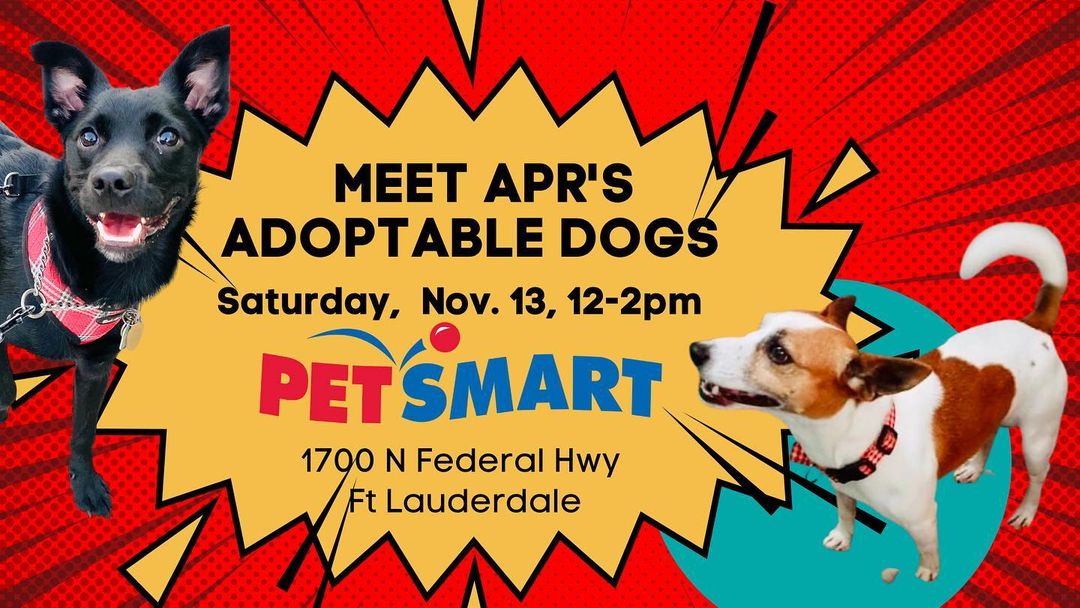 Michael J & Tito are excited to make new friends tomorrow at Petsmart Fort Lauderdale from 12-2pm. Stop by to meet these adorable, adoptable pups. 🤗🐶💙 
•
<a target='_blank' href='https://www.instagram.com/explore/tags/adopt/'>#adopt</a> <a target='_blank' href='https://www.instagram.com/explore/tags/abandonedpetrescue/'>#abandonedpetrescue</a> <a target='_blank' href='https://www.instagram.com/explore/tags/adoptabledogs/'>#adoptabledogs</a> <a target='_blank' href='https://www.instagram.com/explore/tags/fortlauderdale/'>#fortlauderdale</a> <a target='_blank' href='https://www.instagram.com/explore/tags/smalldogs/'>#smalldogs</a> <a target='_blank' href='https://www.instagram.com/explore/tags/animalrescue/'>#animalrescue</a>