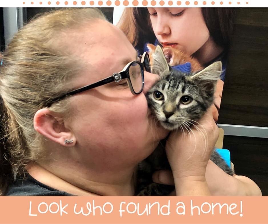 Something tells us Bishop has lots of love in his future. Congratulations, furbaby!
😻

<a target='_blank' href='https://www.instagram.com/explore/tags/fcpga/'>#fcpga</a> <a target='_blank' href='https://www.instagram.com/explore/tags/adoptdontshop/'>#adoptdontshop</a> <a target='_blank' href='https://www.instagram.com/explore/tags/petsmartcharities/'>#petsmartcharities</a>